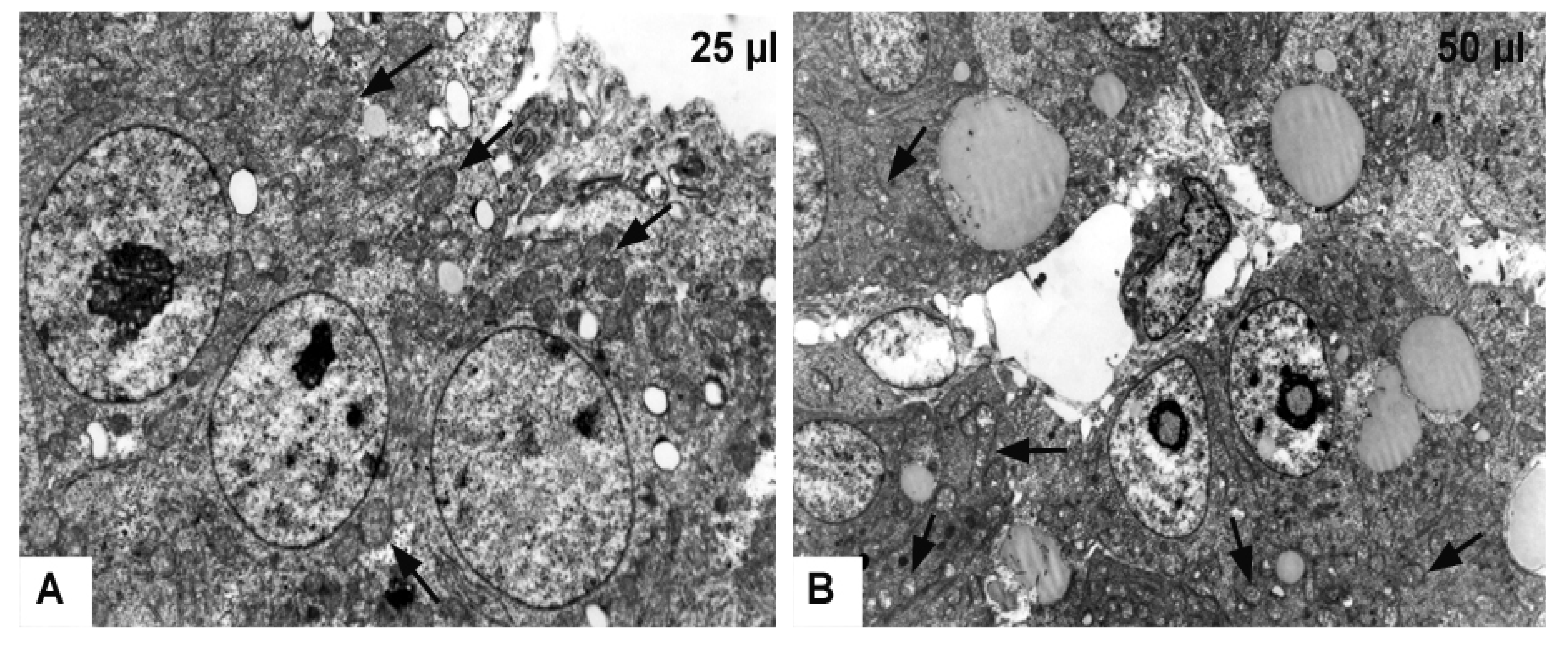 Toxics 09 00055 g008