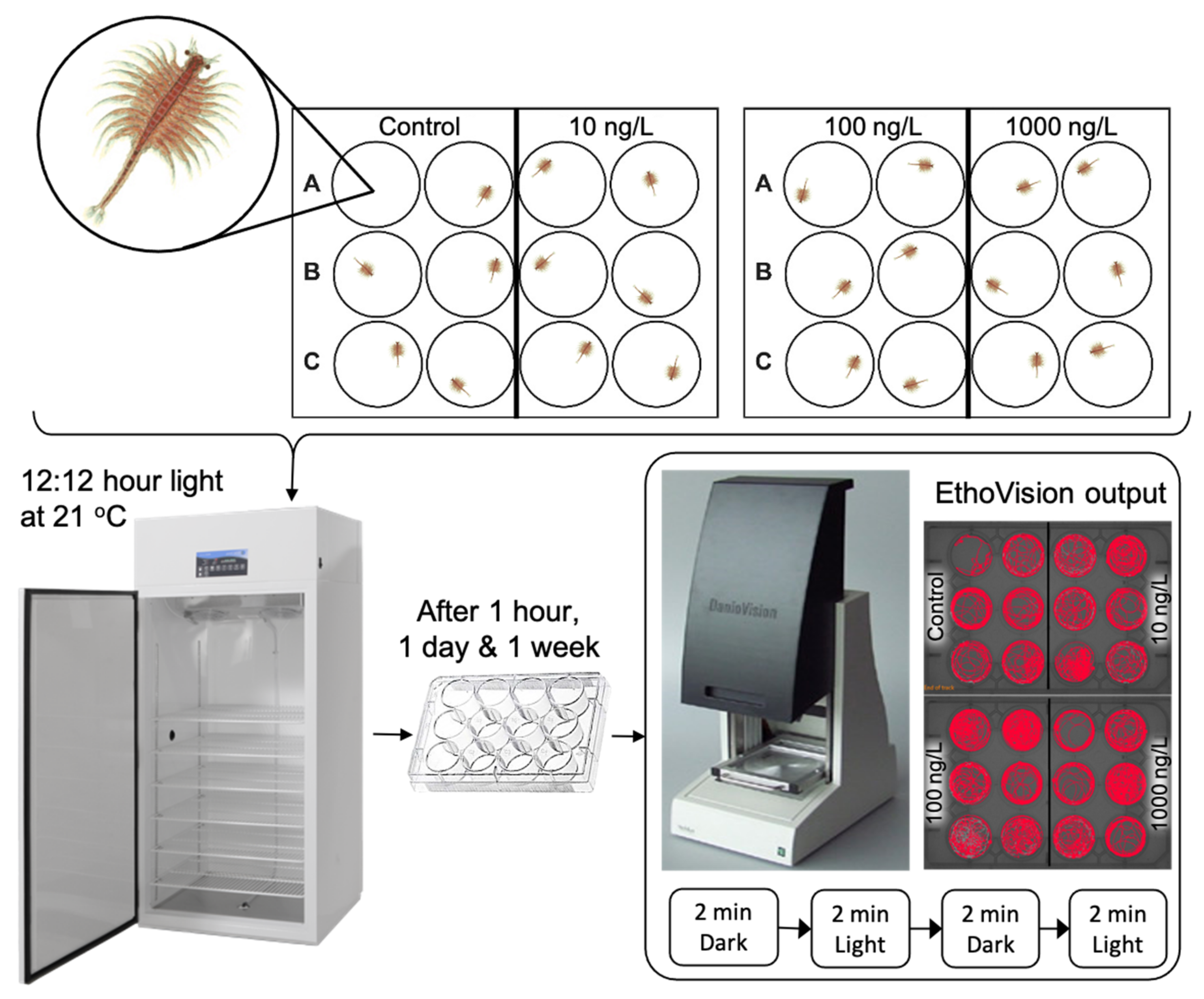 Toxics 09 00064 g002