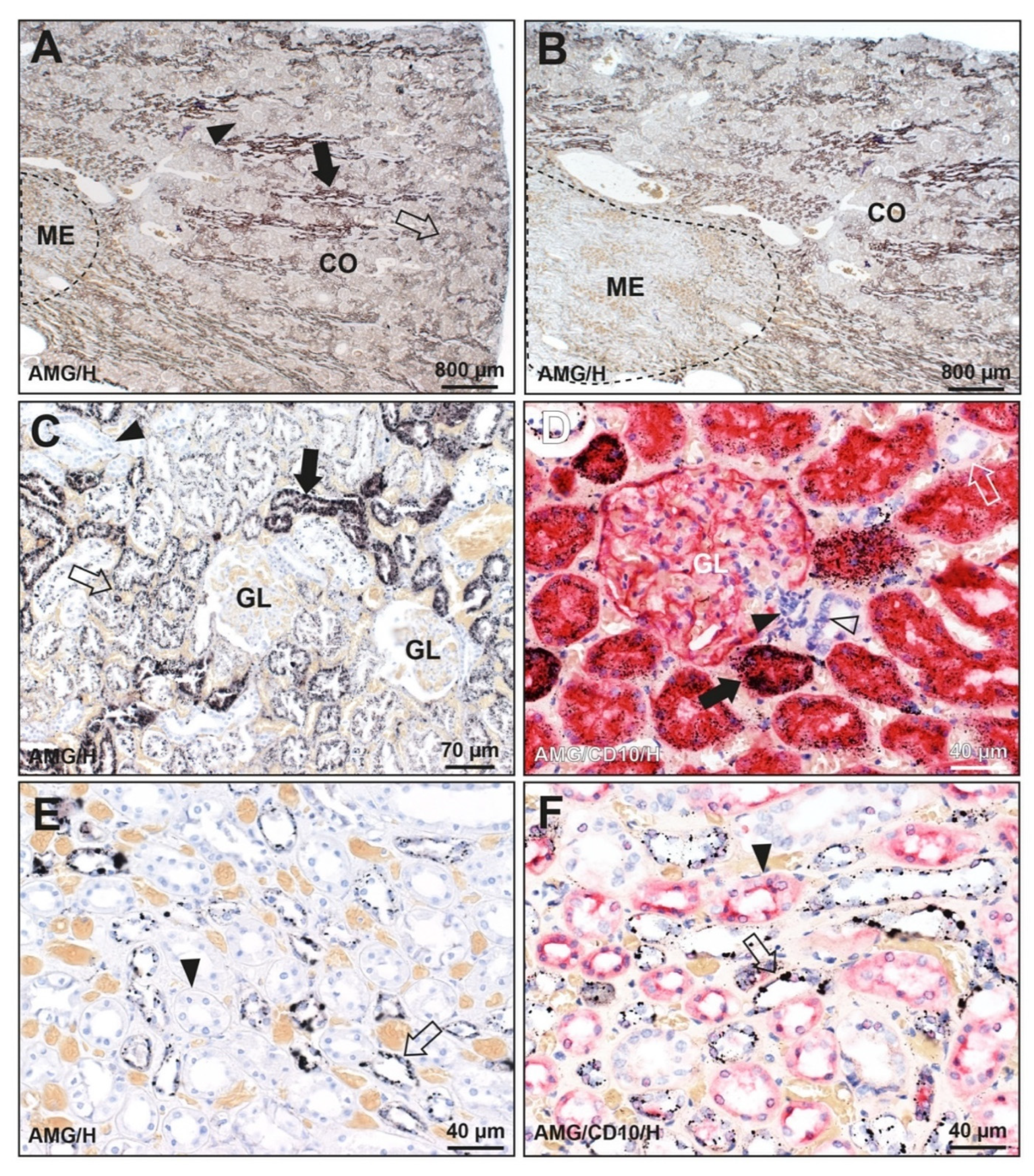 Toxics 09 00067 g002