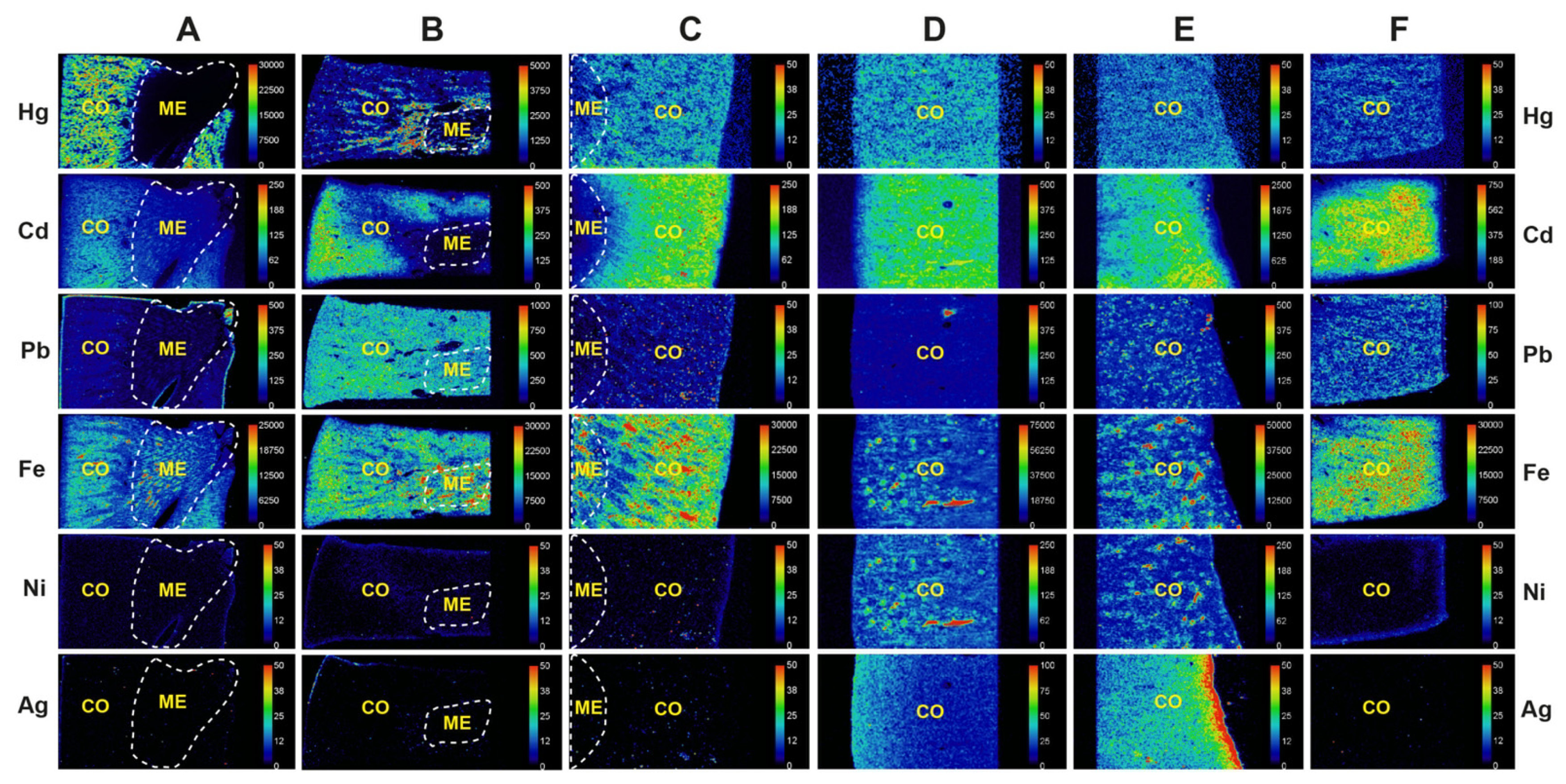 Toxics 09 00067 g005