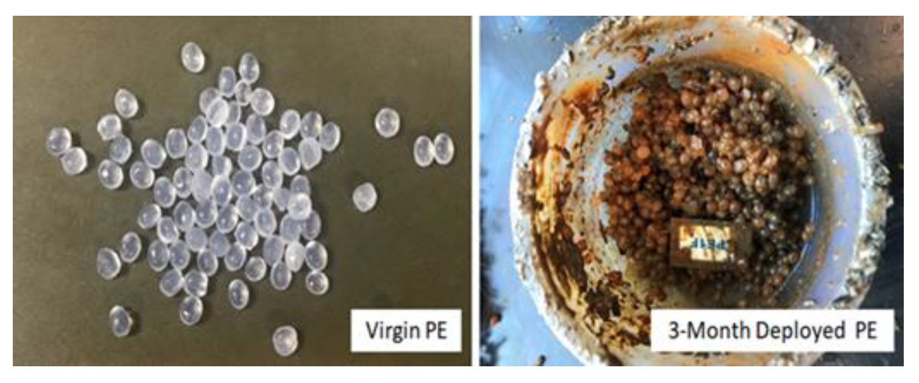 Toxics 09 00106 g007