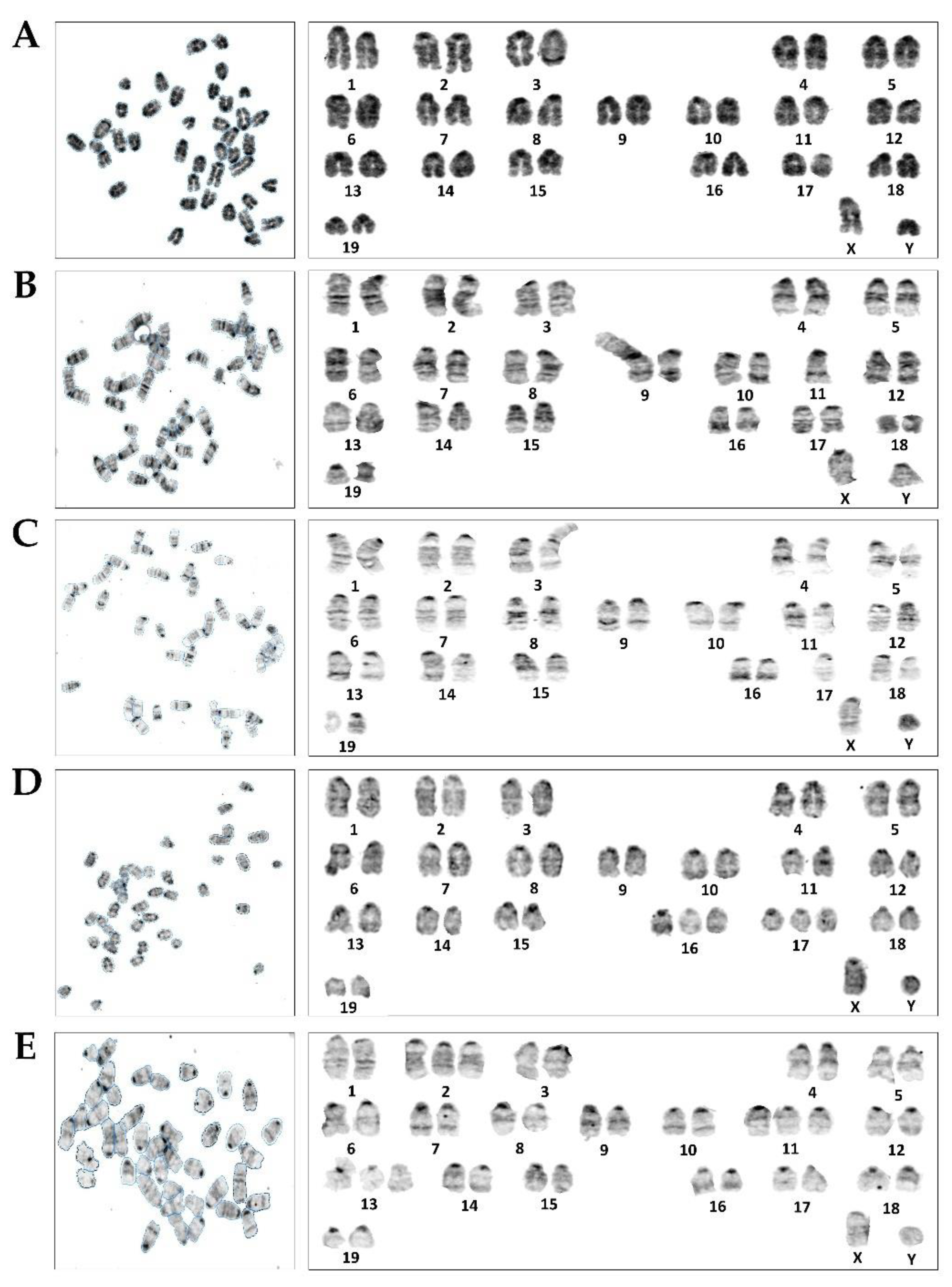 Toxics 09 00107 g002 Toxics 09 00107 g002