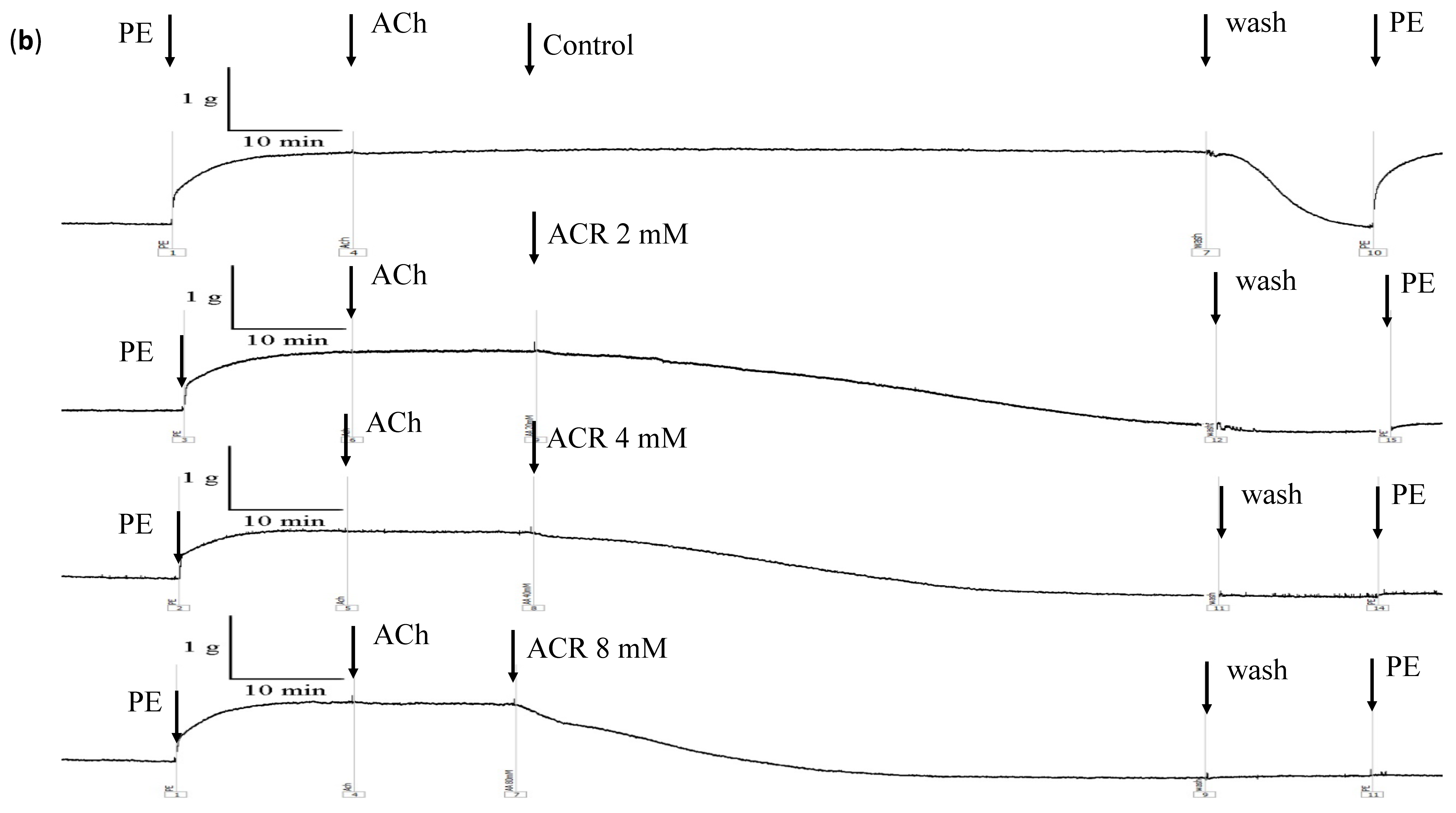 Toxics 09 00117 g003b