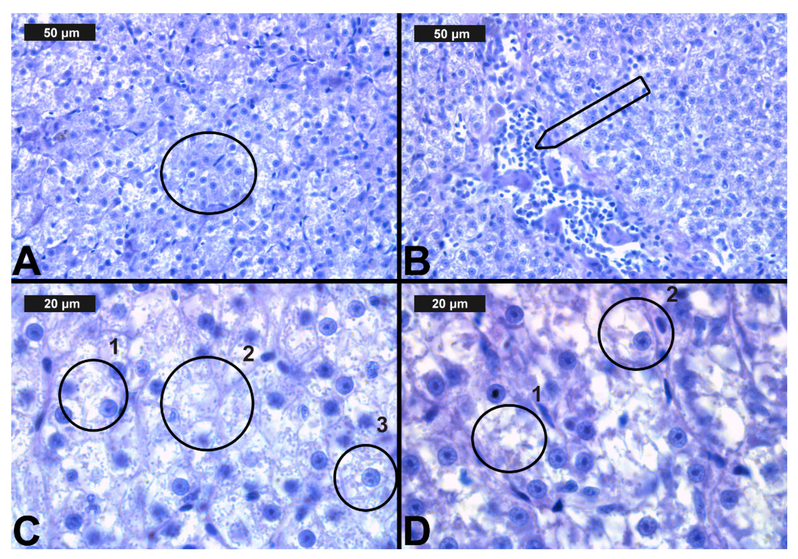 Toxics 09 00125 g006