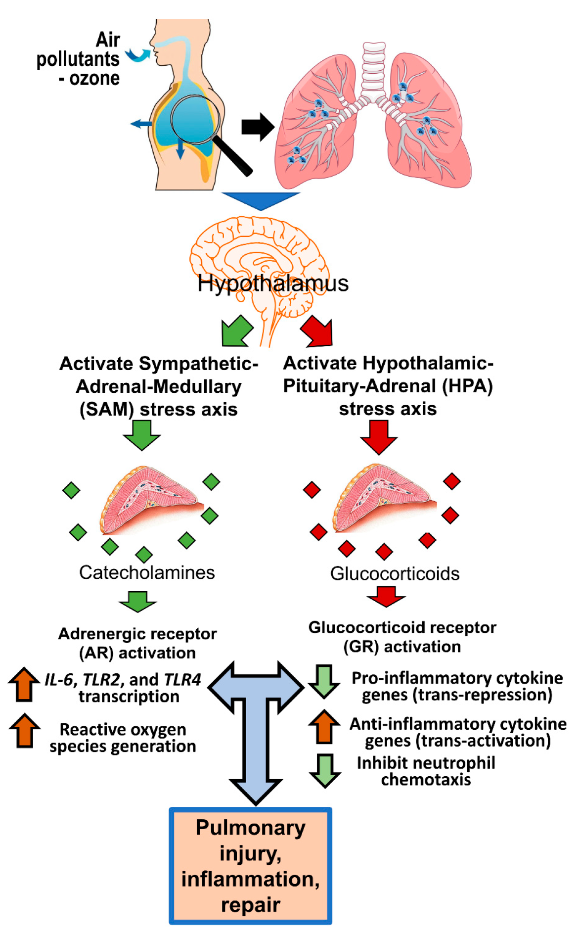 Toxics 09 00132 g001 Toxics 09 00132 g001