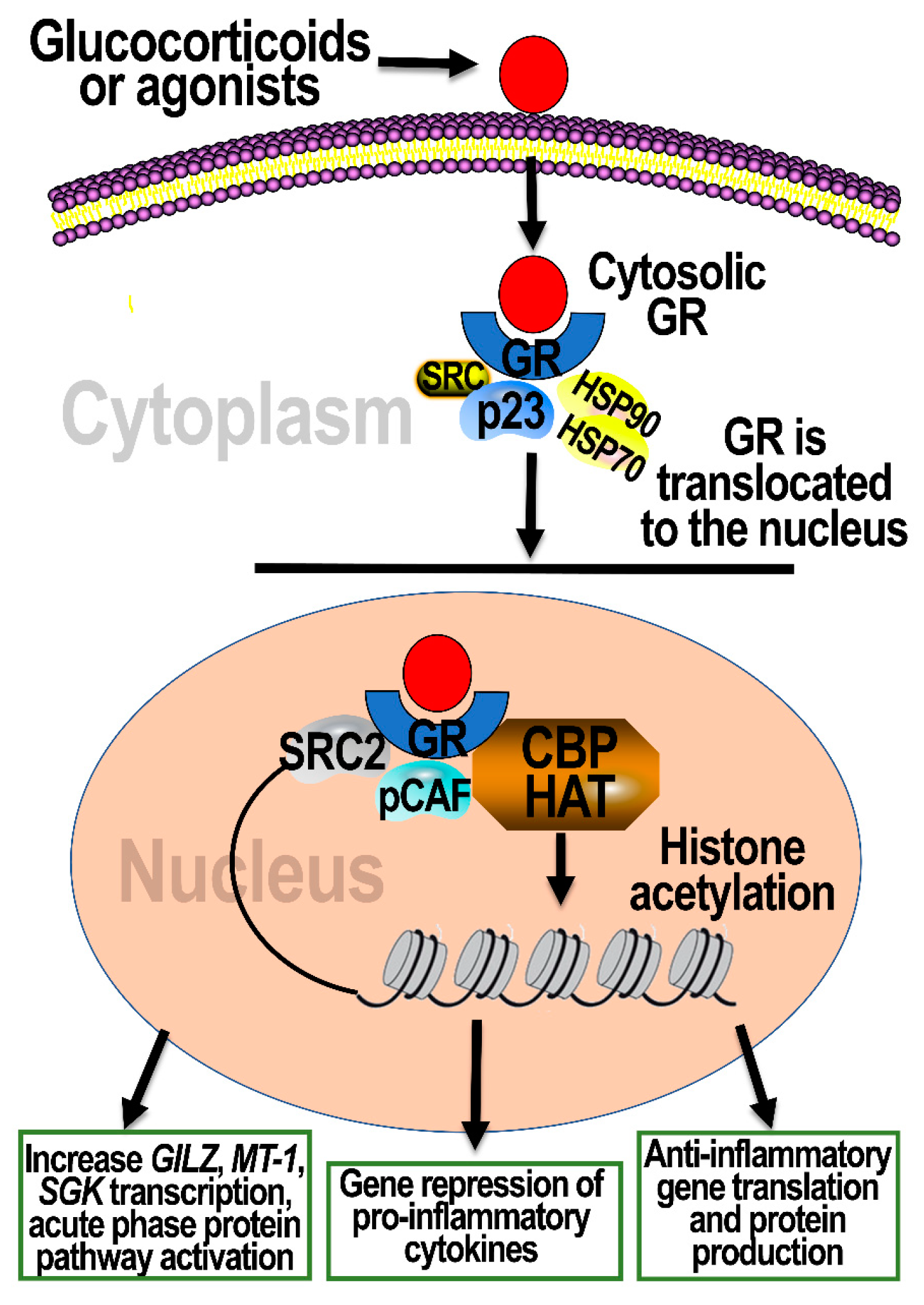 Toxics 09 00132 g003 Toxics 09 00132 g003