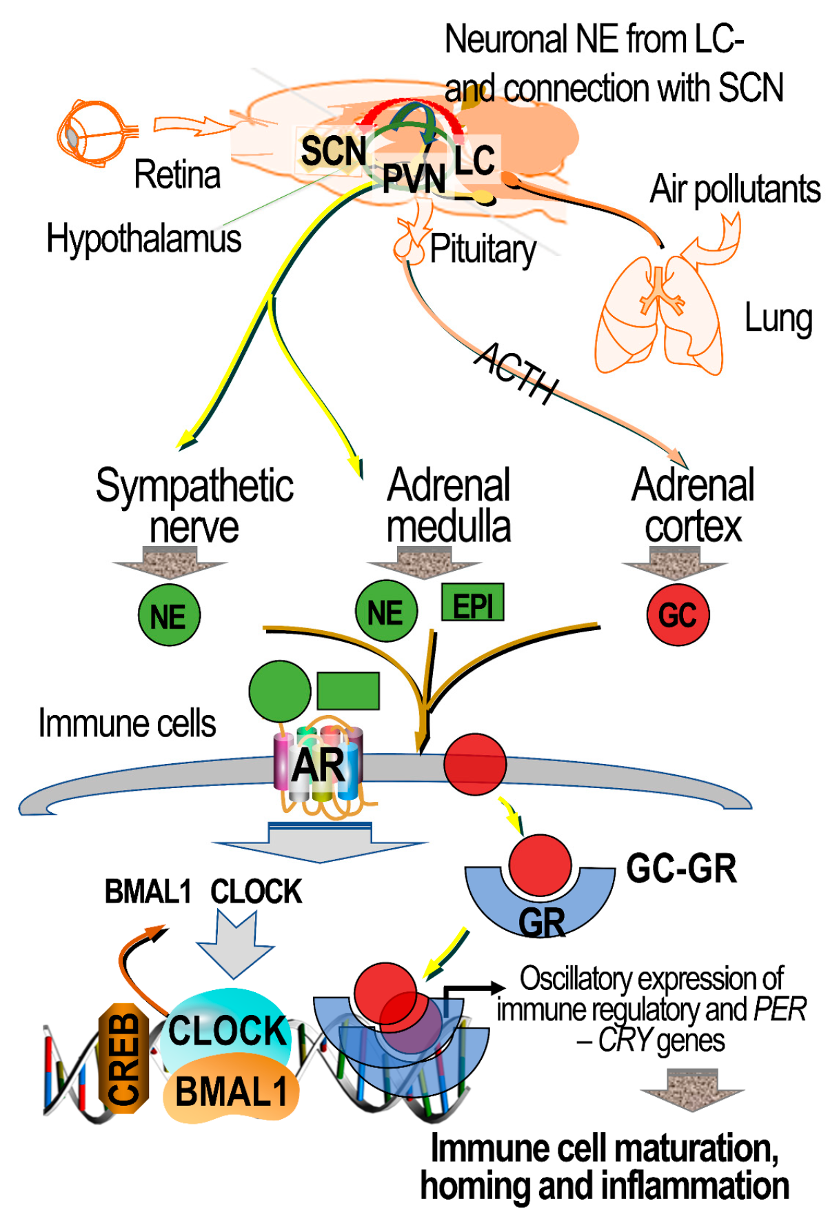 Toxics 09 00132 g004 Toxics 09 00132 g004
