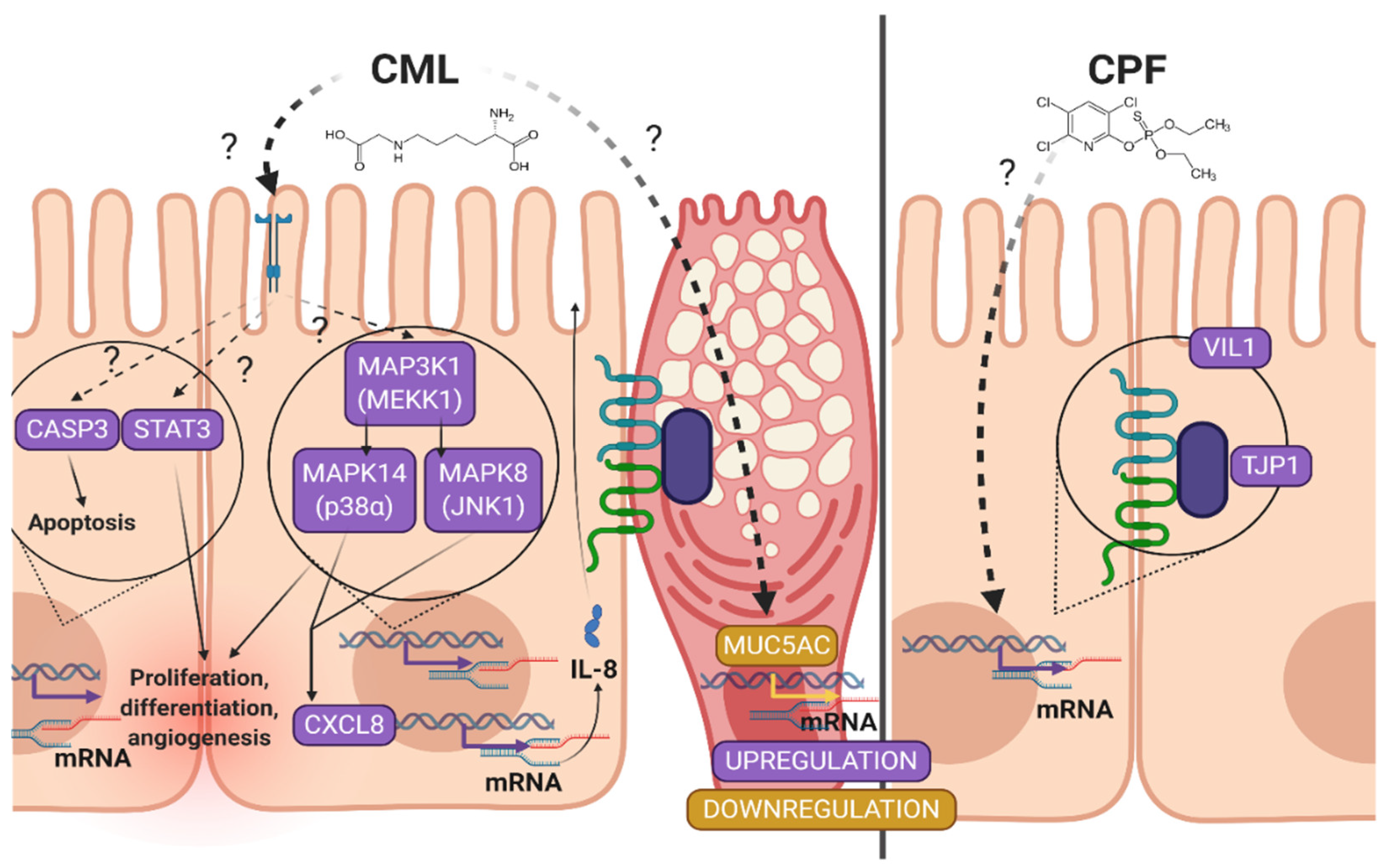 Toxics 09 00135 g007