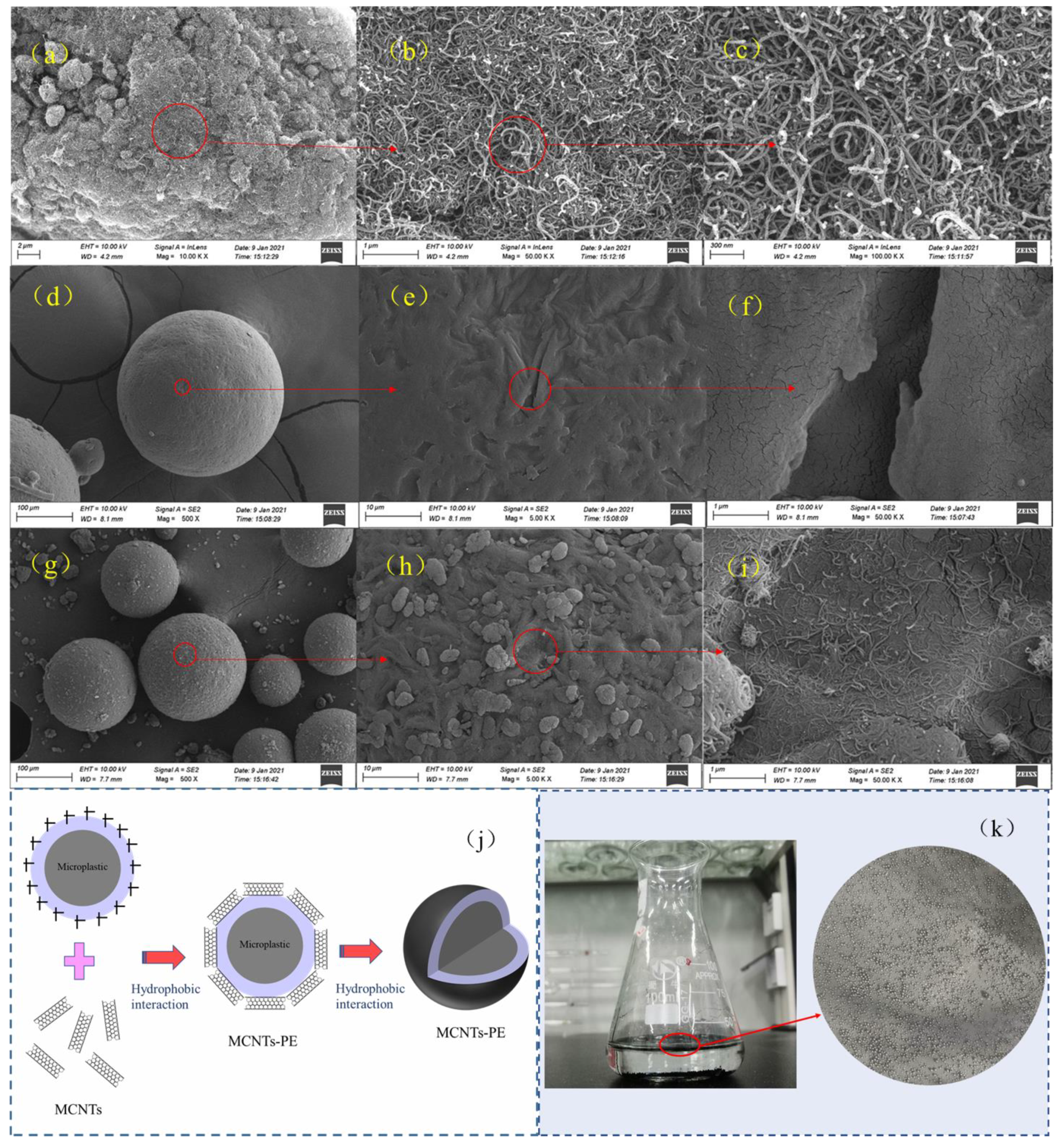 Toxics 09 00139 g005