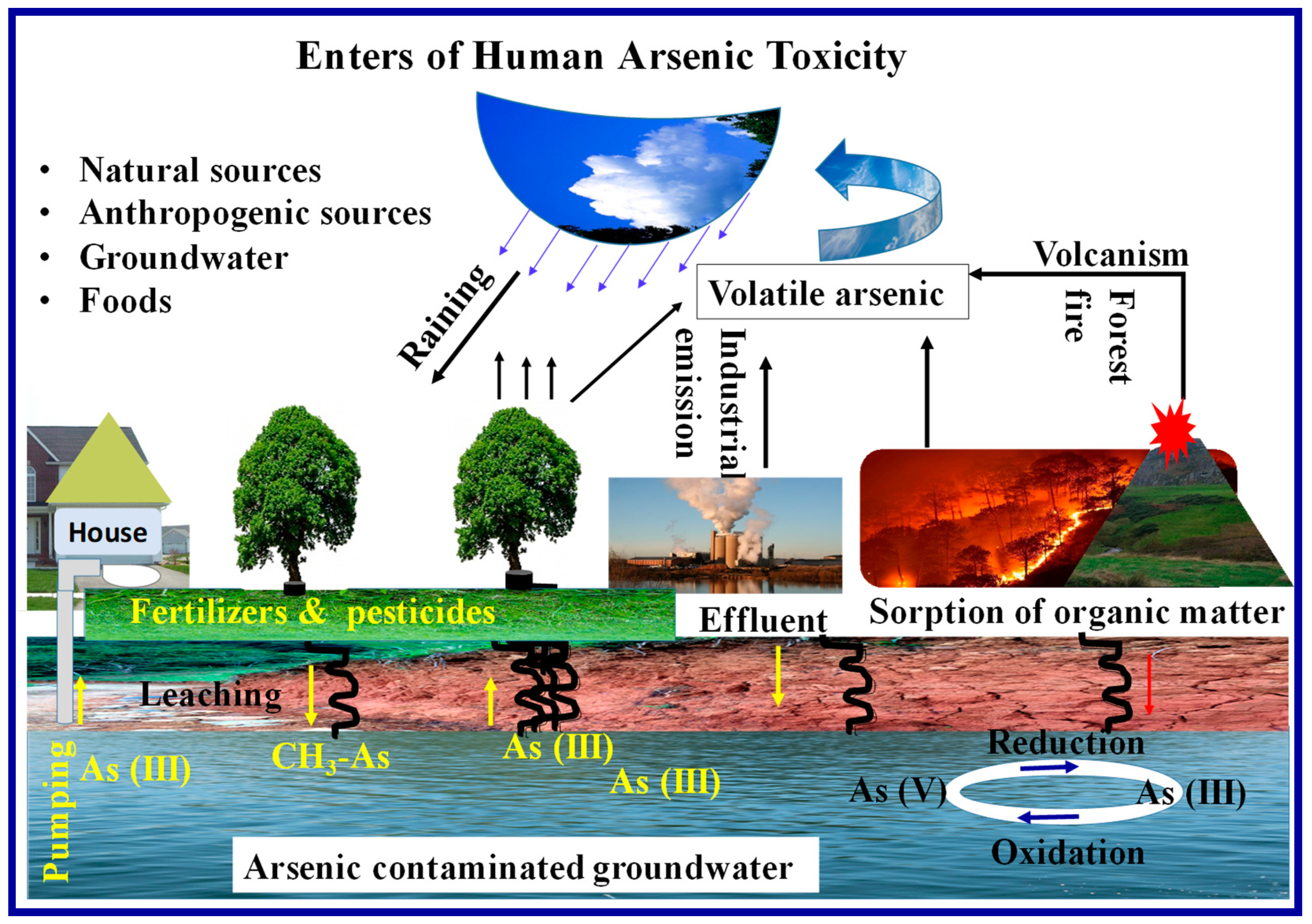 Toxics 09 00143 g001 Toxics 09 00143 g001