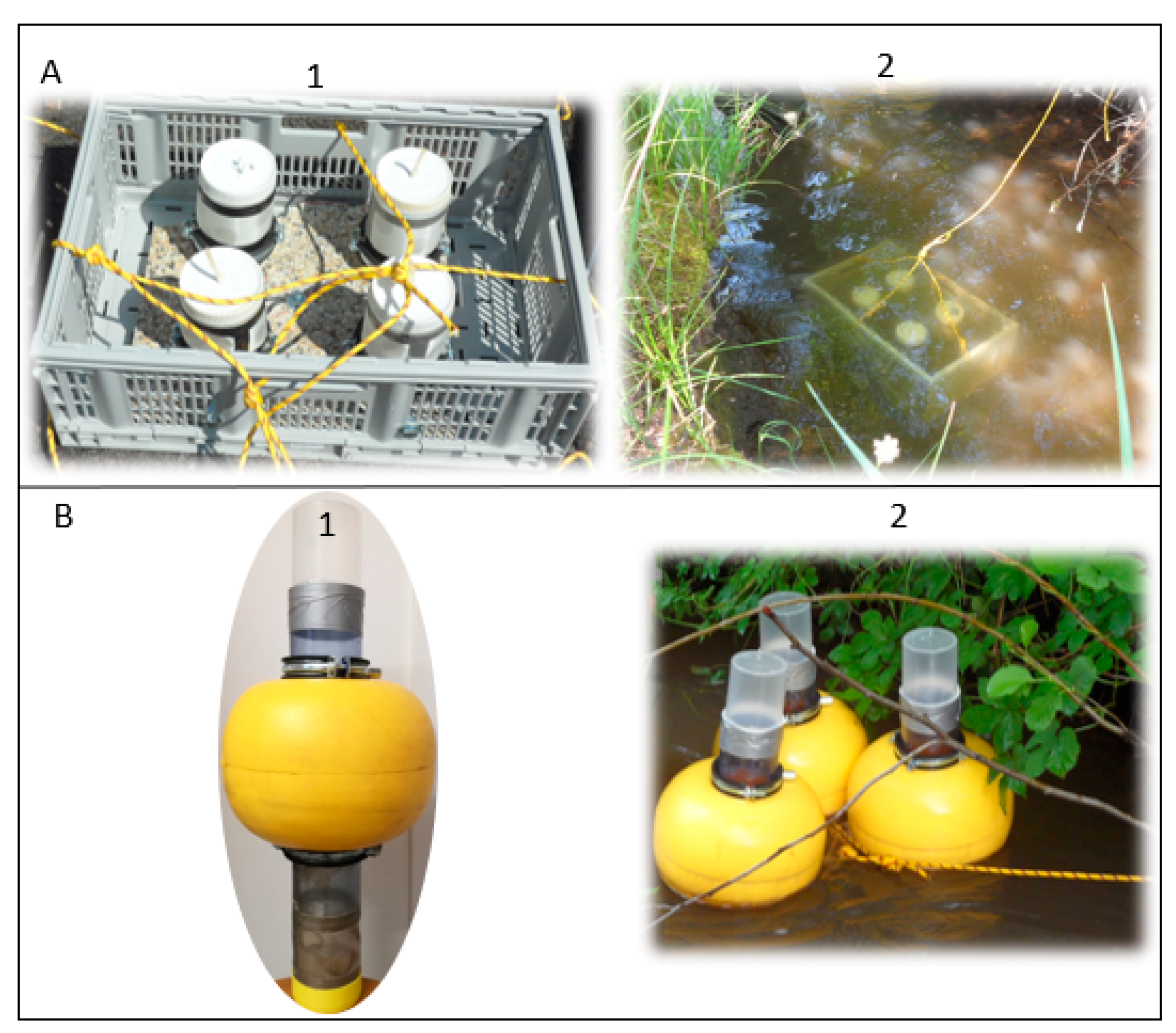 Toxics 09 00164 g002