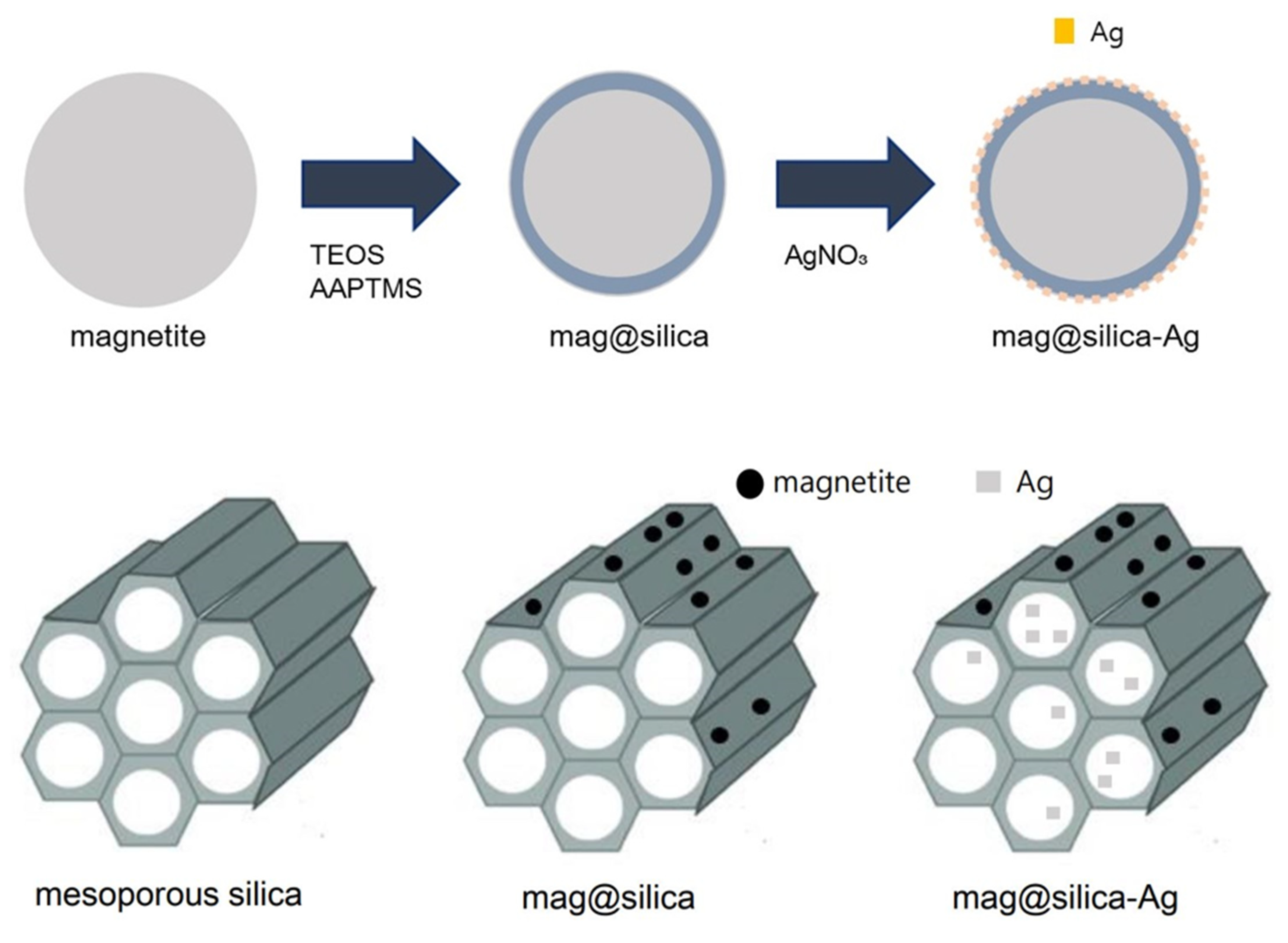 Toxics 09 00175 g001