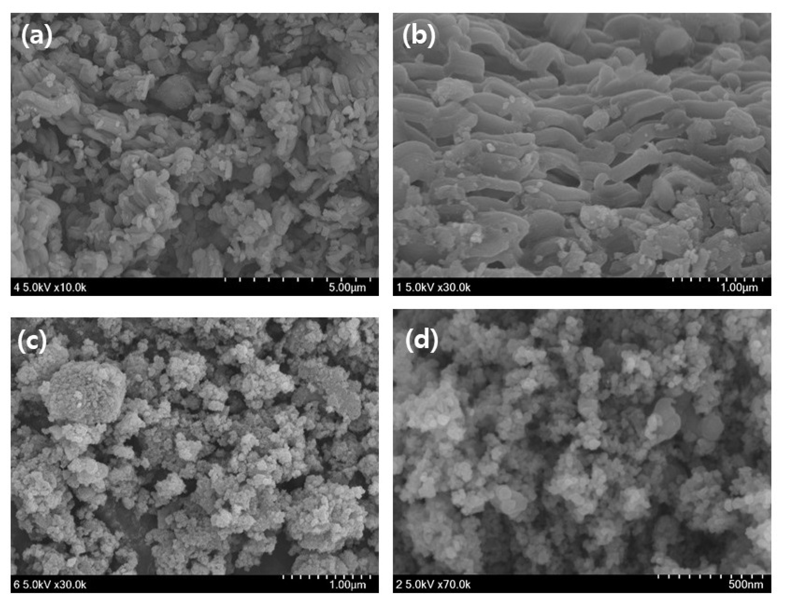 Toxics 09 00175 g003a