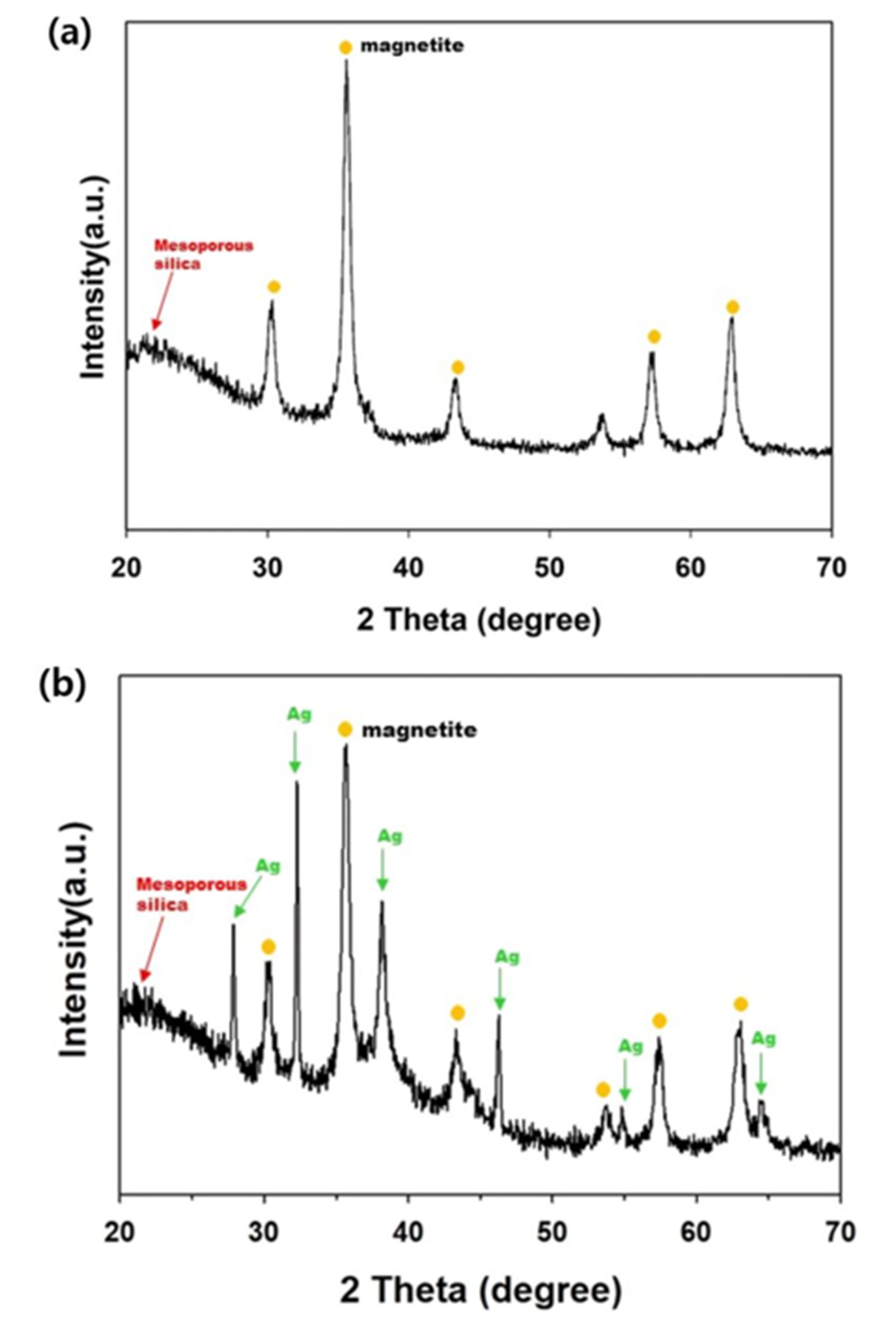 Toxics 09 00175 g009