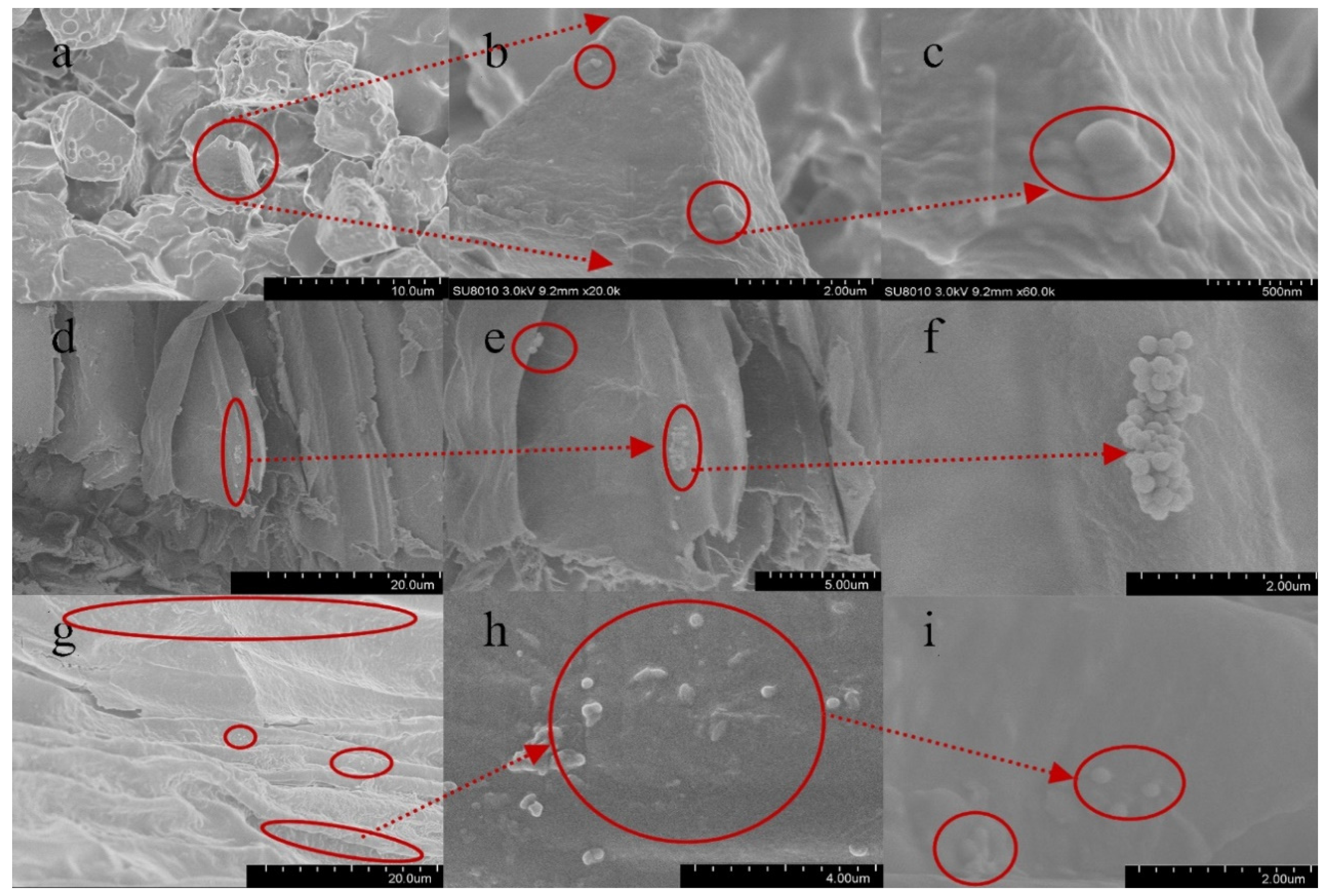 Toxics 09 00179 g004