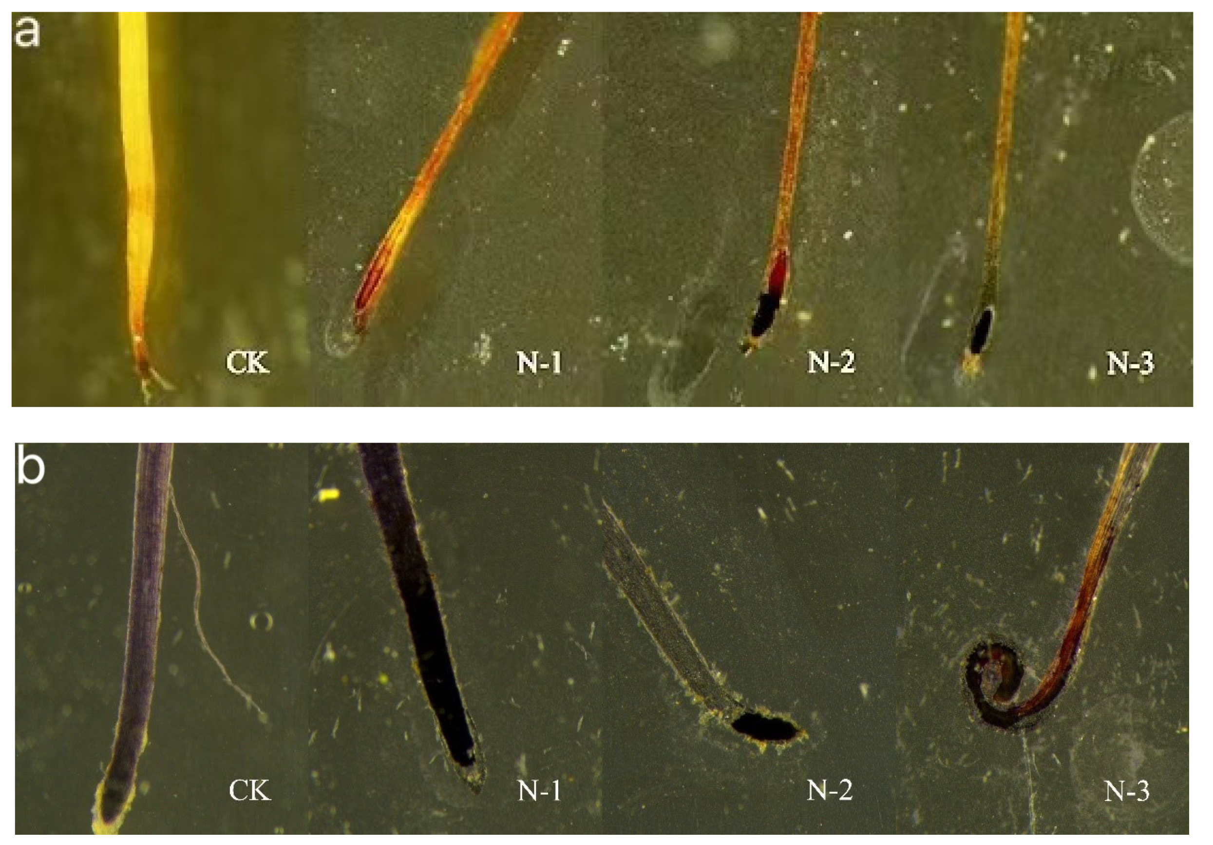 Toxics 09 00179 g005