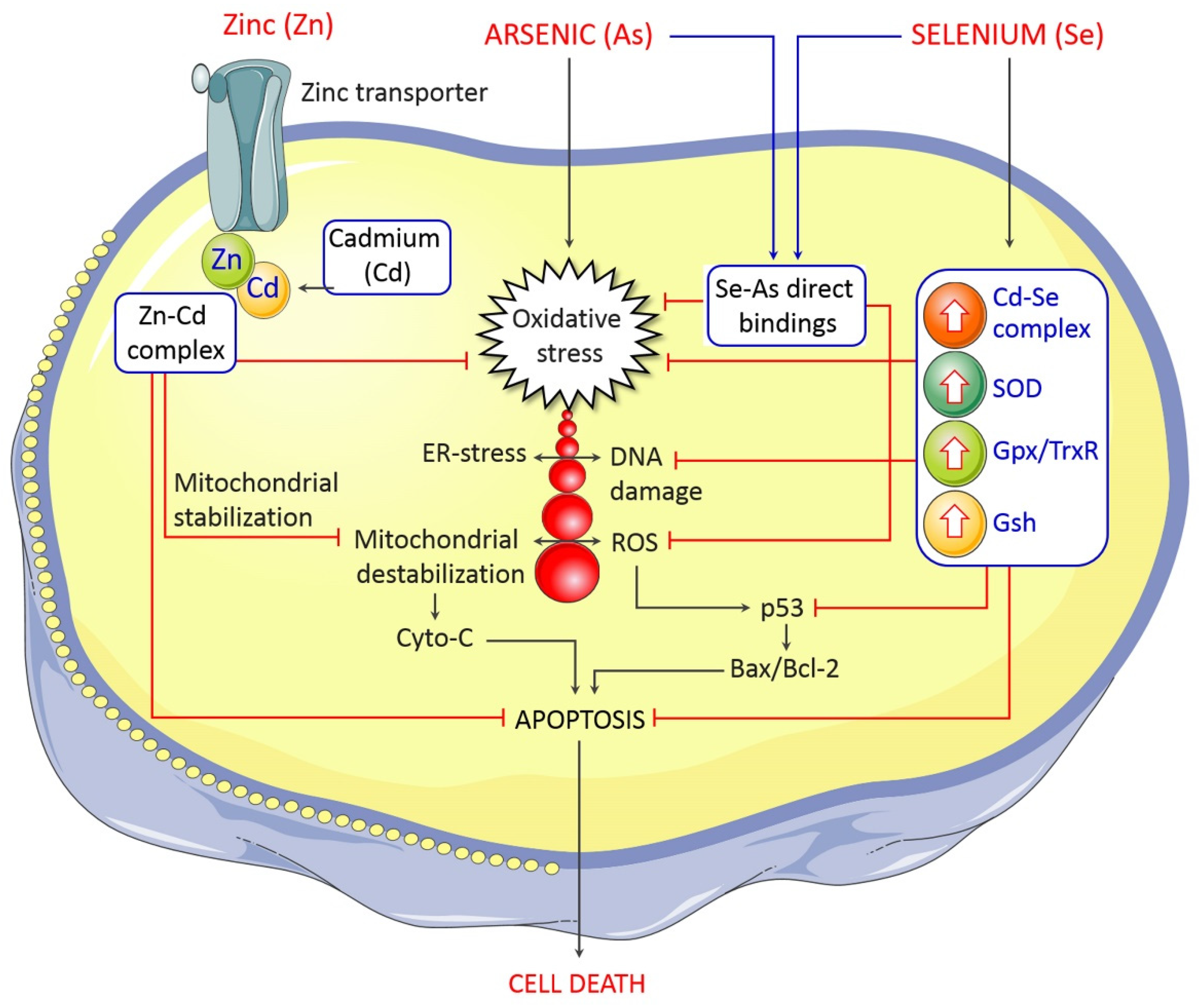 Toxics 09 00188 g006 Toxics 09 00188 g006