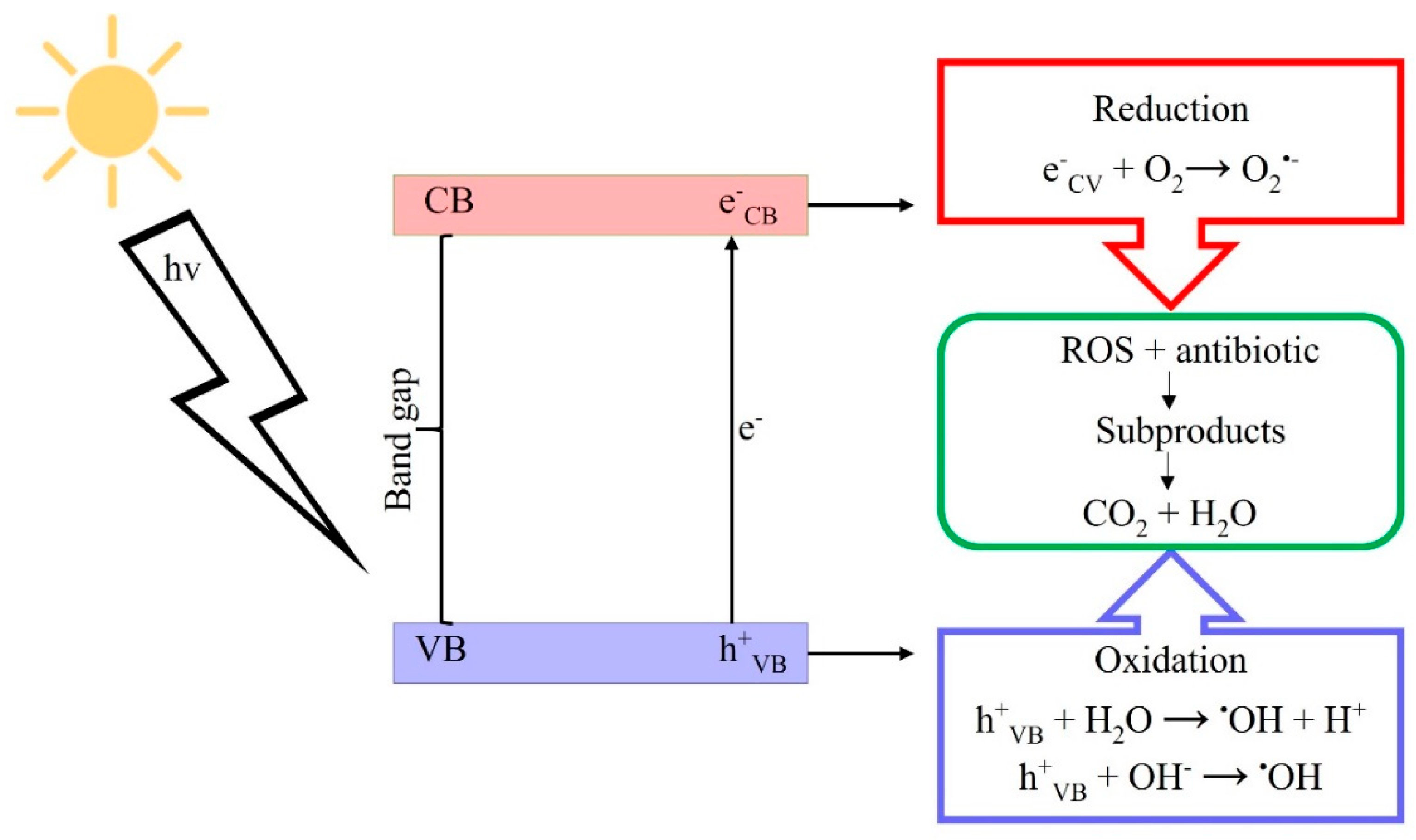 Toxics 09 00194 g003