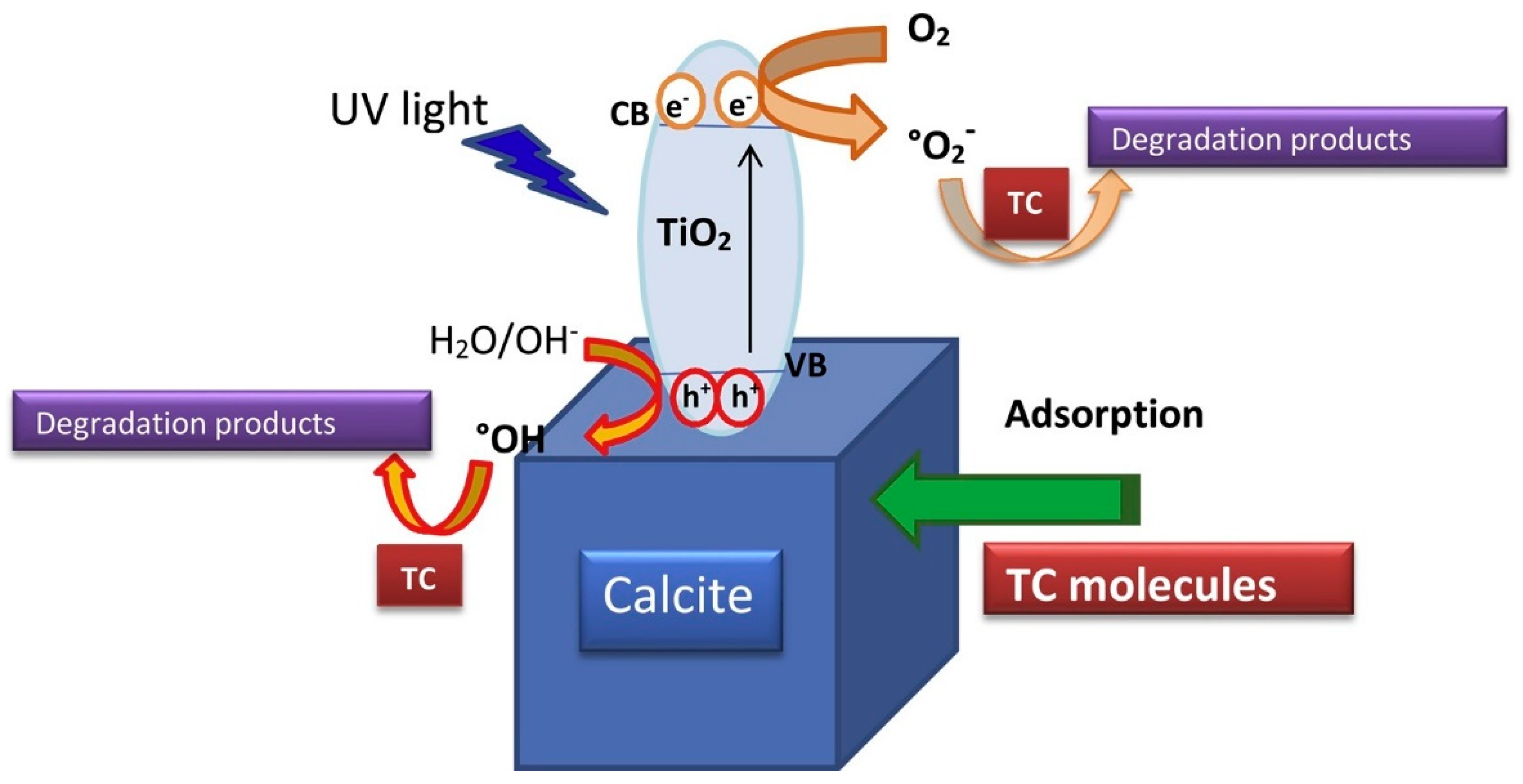 Toxics 09 00194 g004
