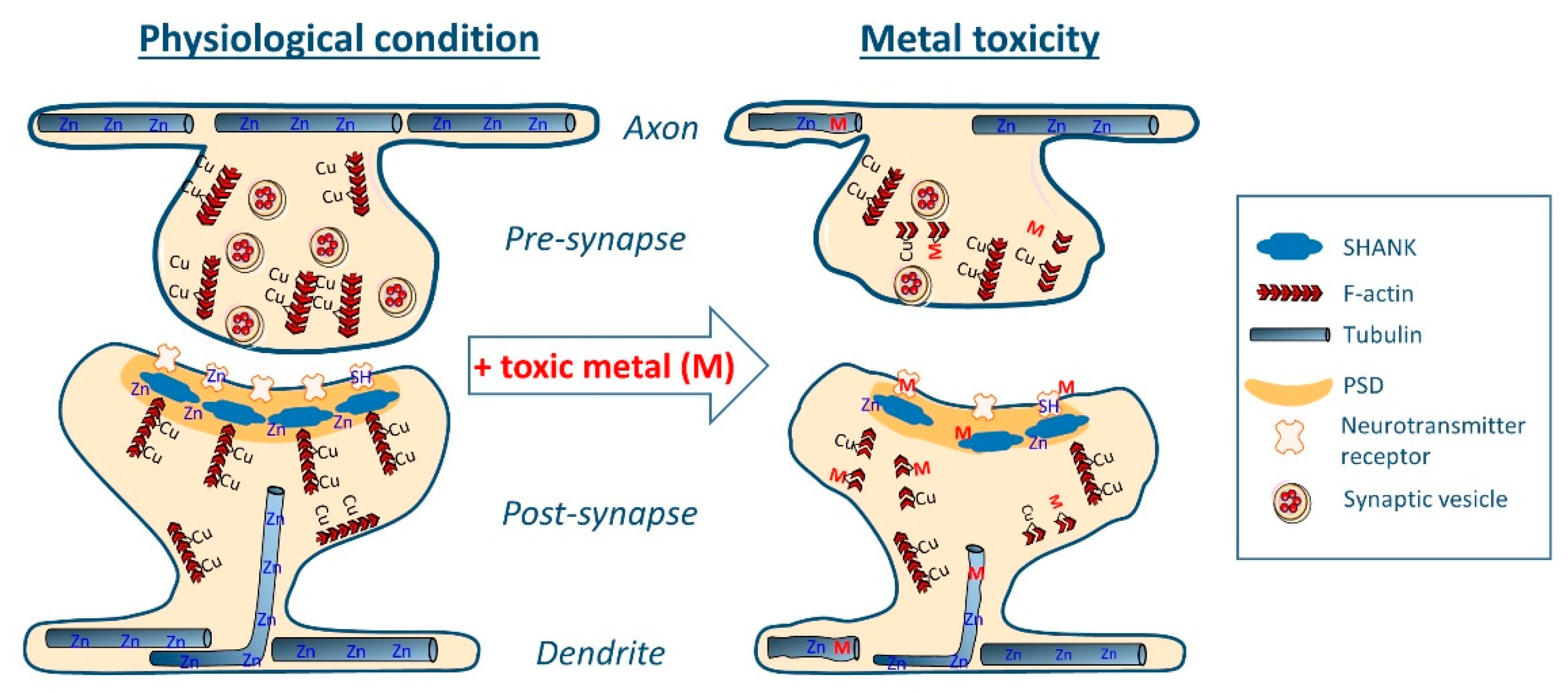 Toxics 09 00198 g002