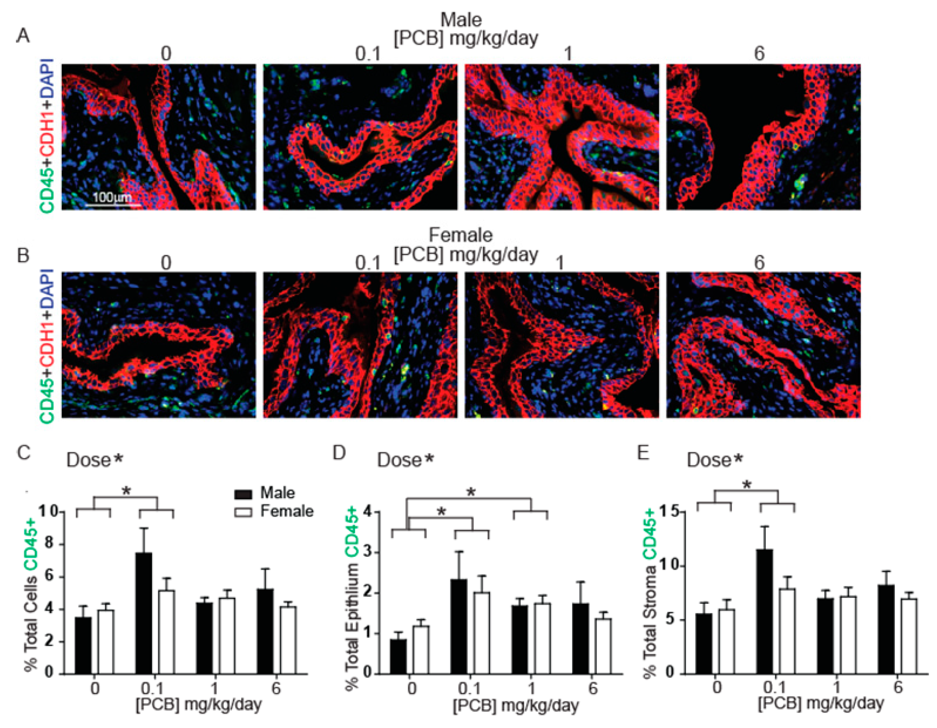 Toxics 09 00214 g001