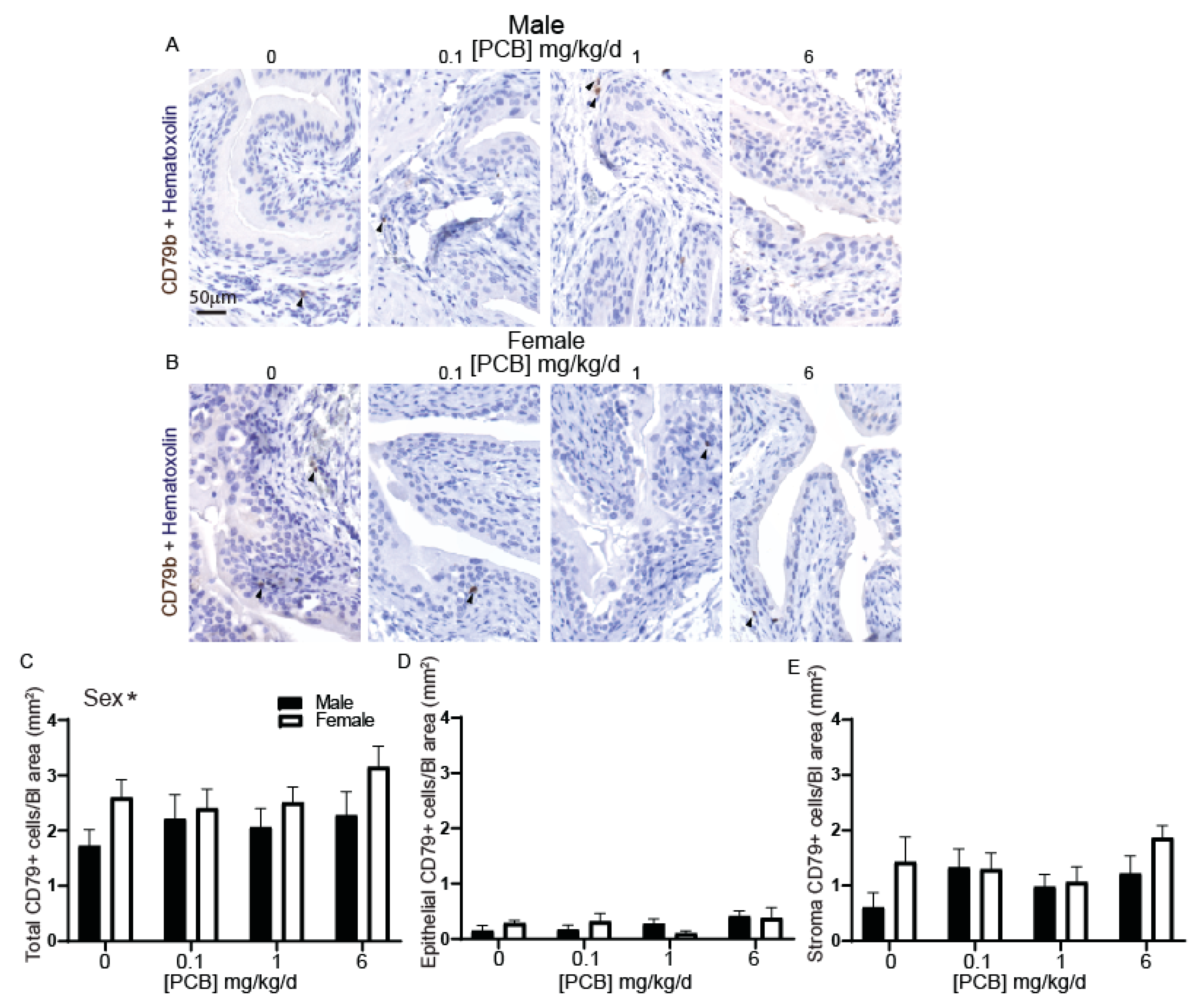 Toxics 09 00214 g002