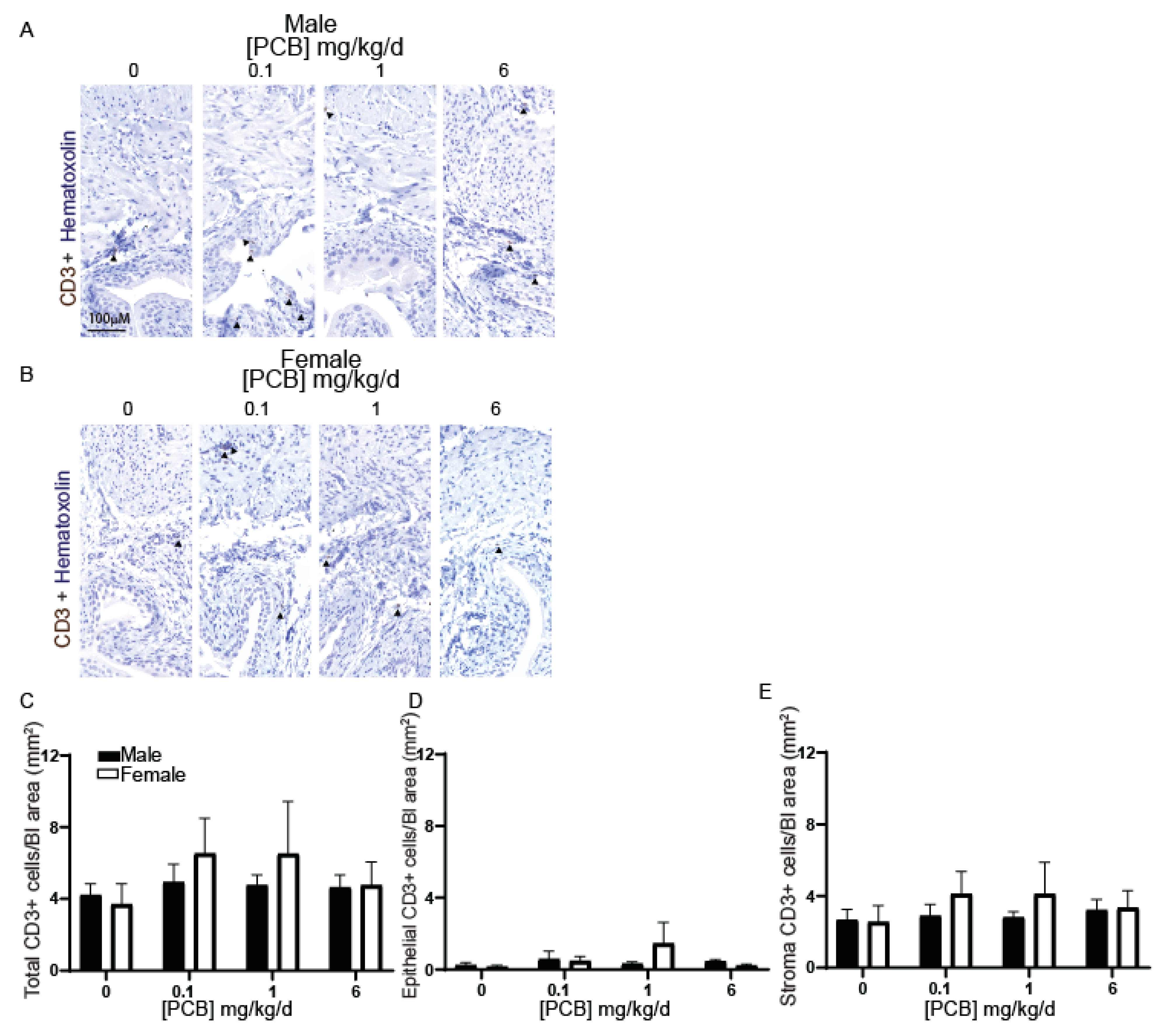 Toxics 09 00214 g003