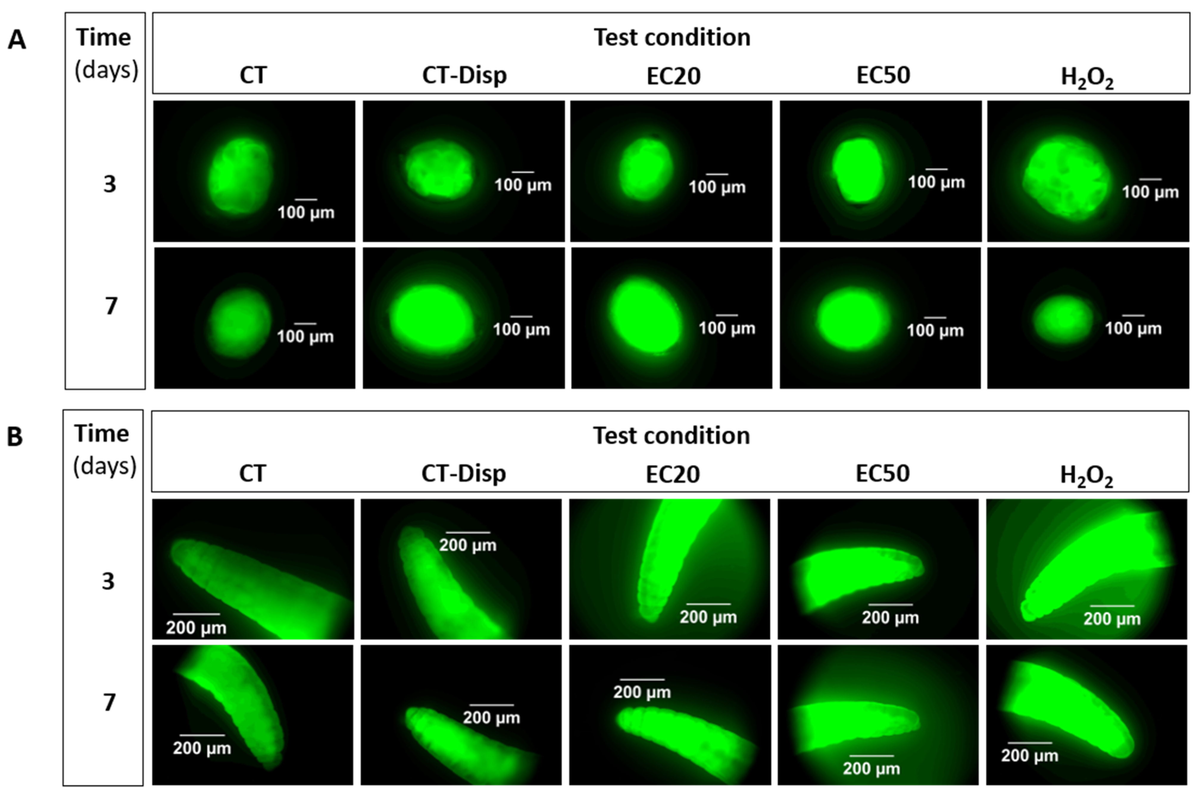 Toxics 09 00232 g003