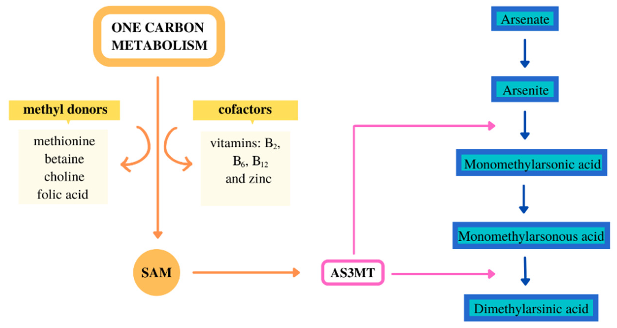 Toxics 09 00258 g001
