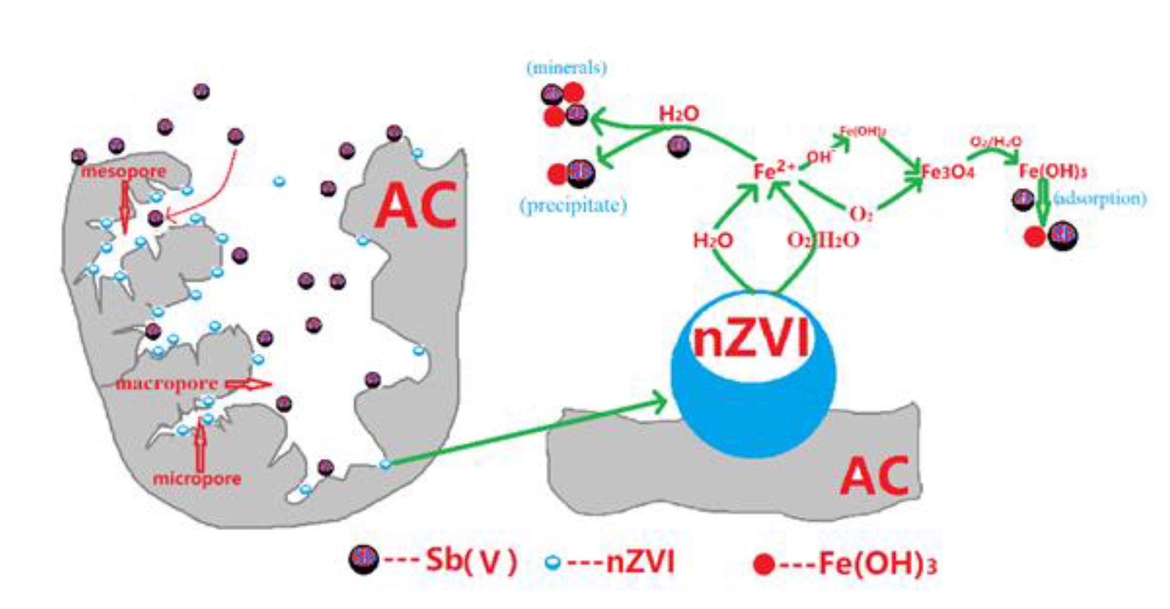 Toxics 09 00266 g008