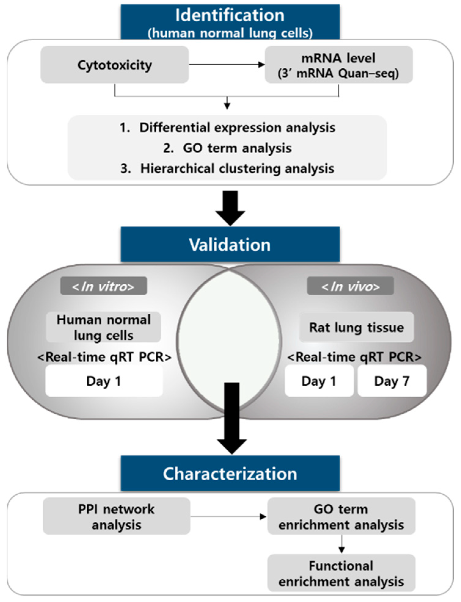 Toxics 09 00288 g001
