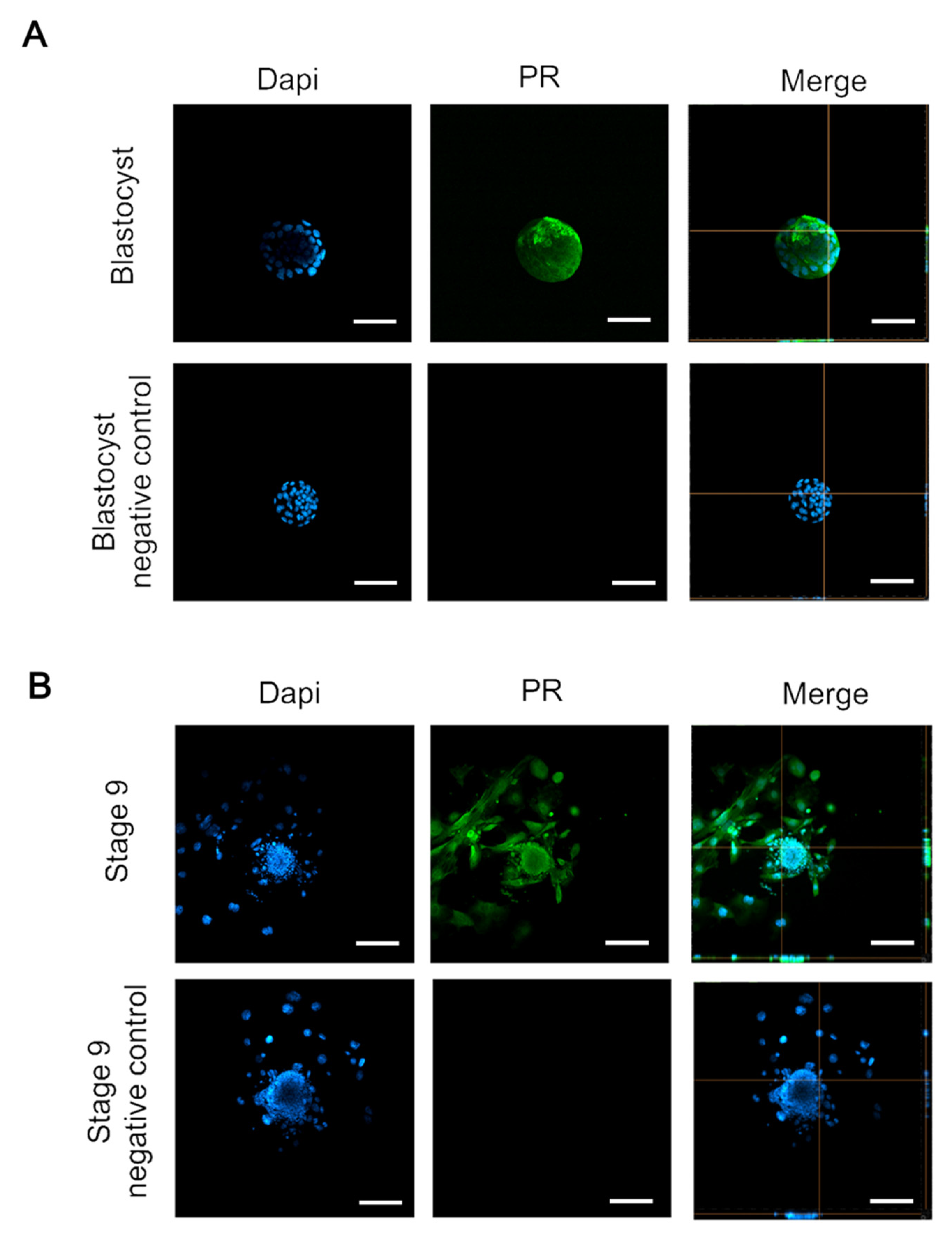 Toxics 09 00294 g002