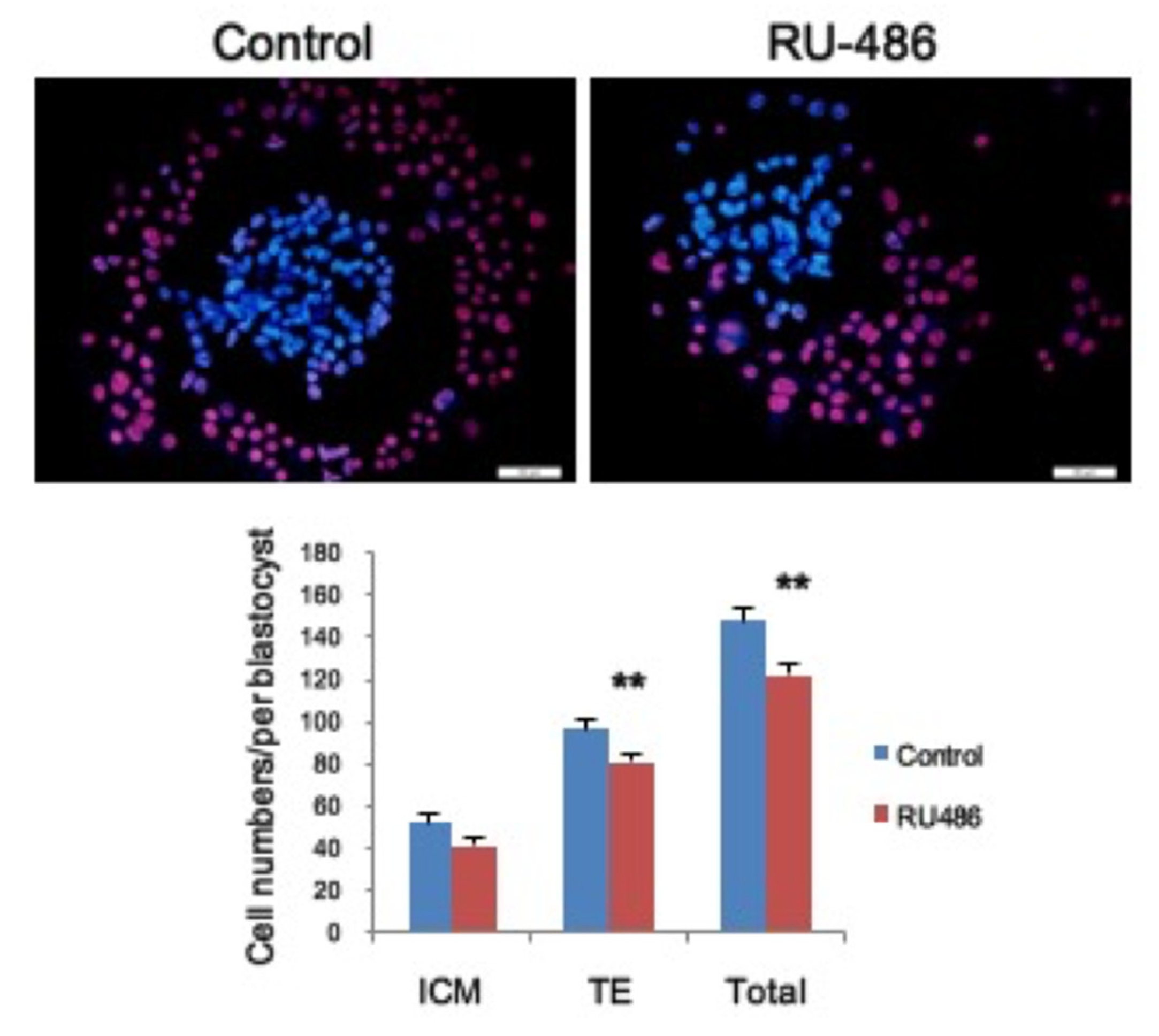 Toxics 09 00294 g004