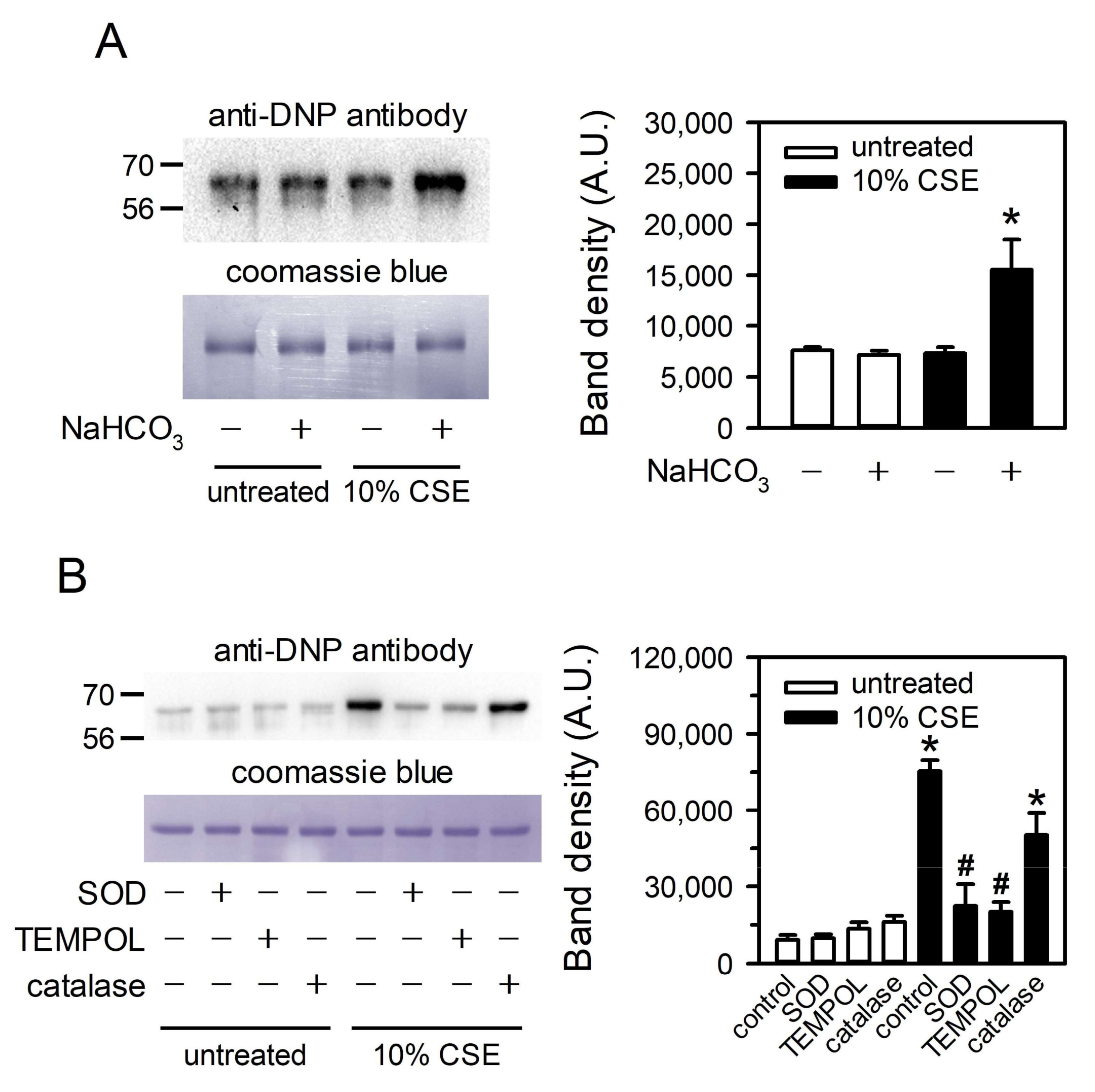 Toxics 09 00316 g006 Toxics 09 00316 g006