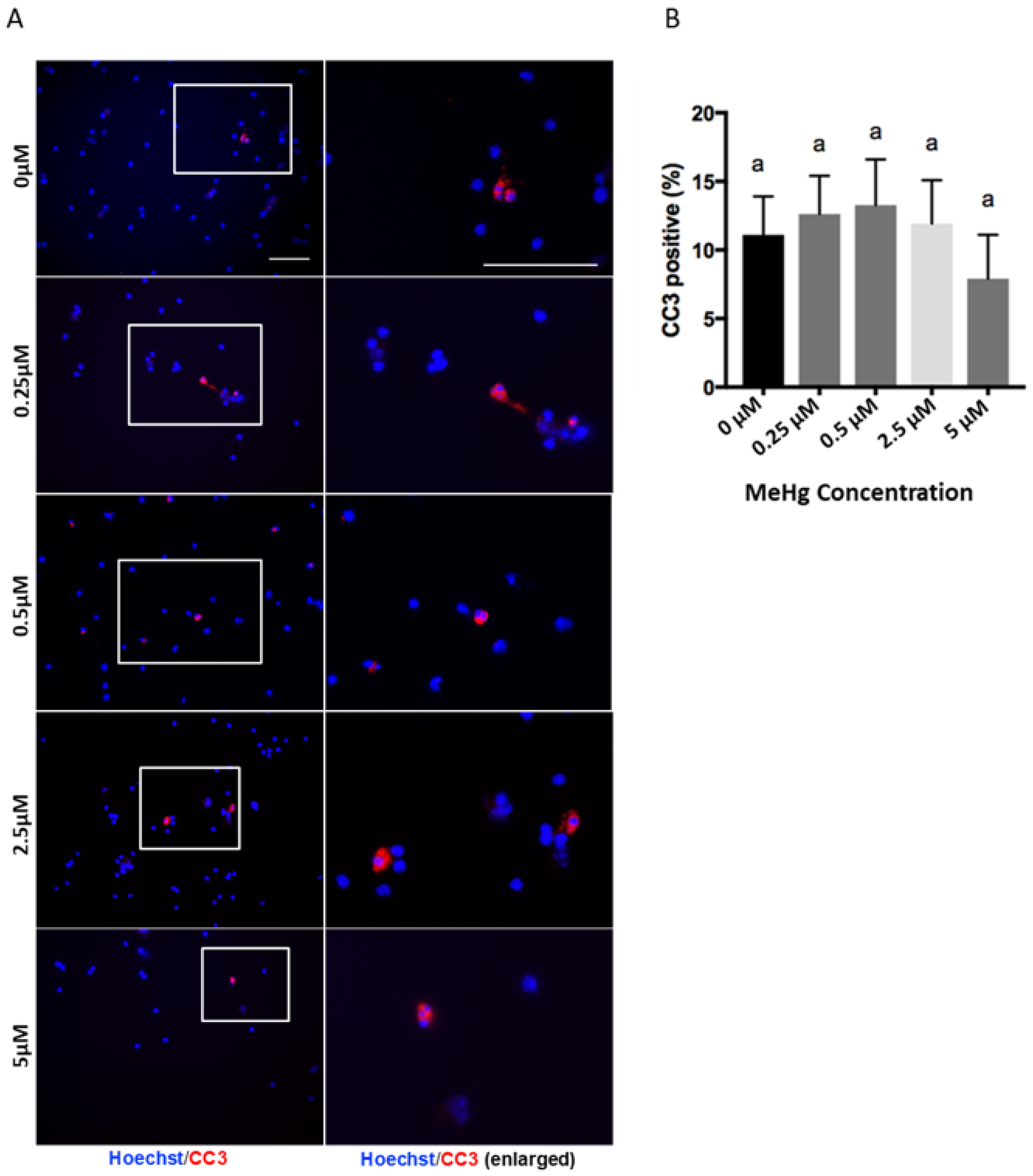 Toxics 09 00322 g001