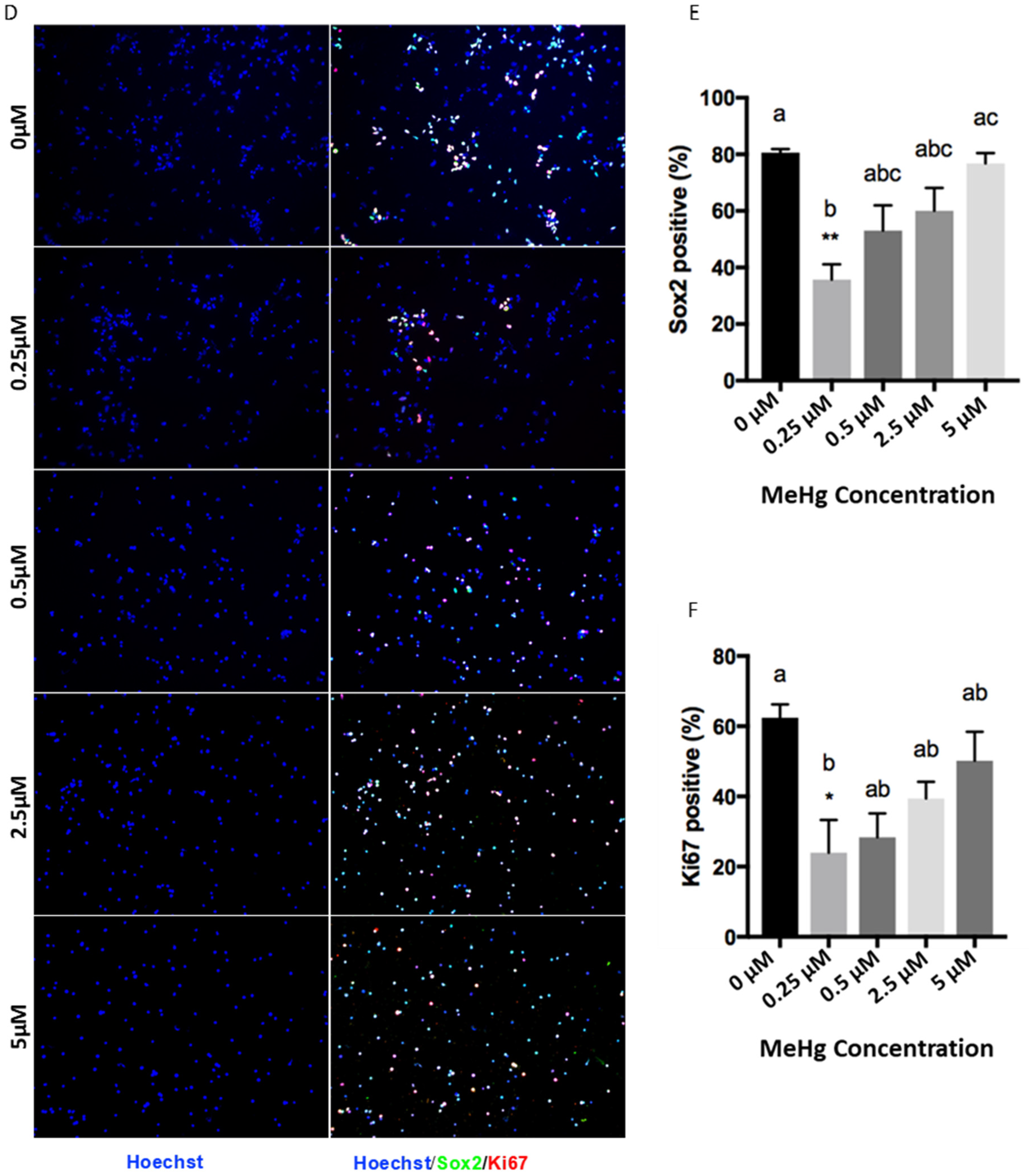 Toxics 09 00322 g002b