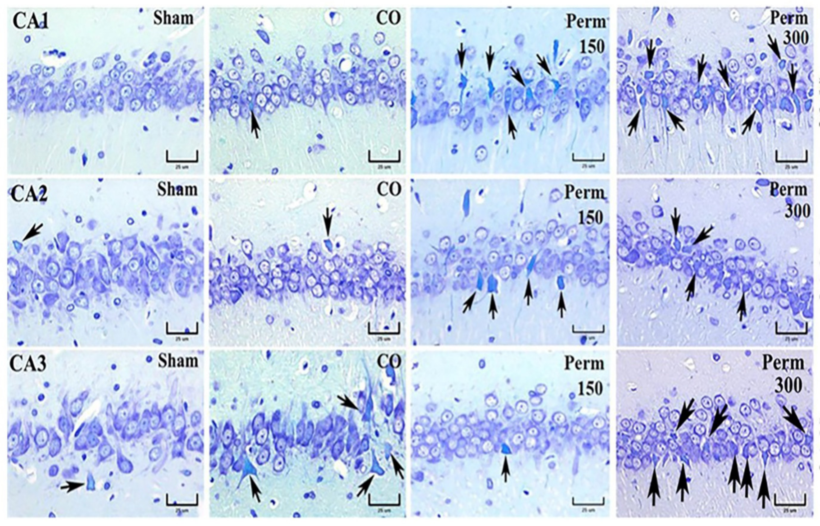 Toxics 09 00337 g005 Toxics 09 00337 g005