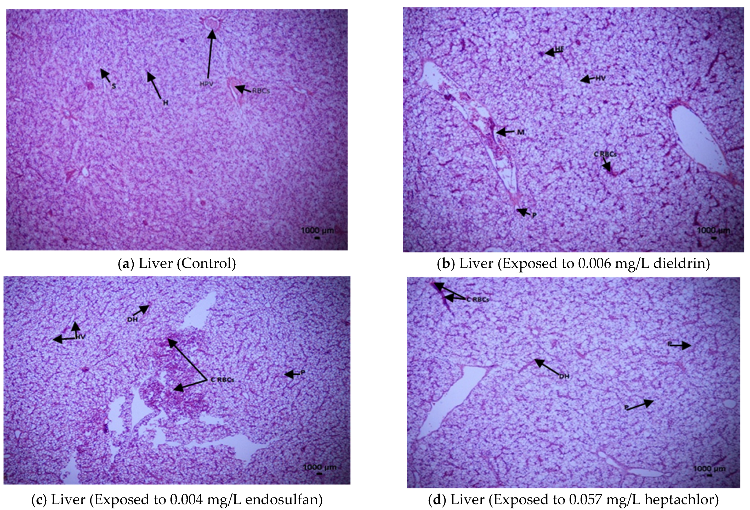 Toxics 09 00340 g001