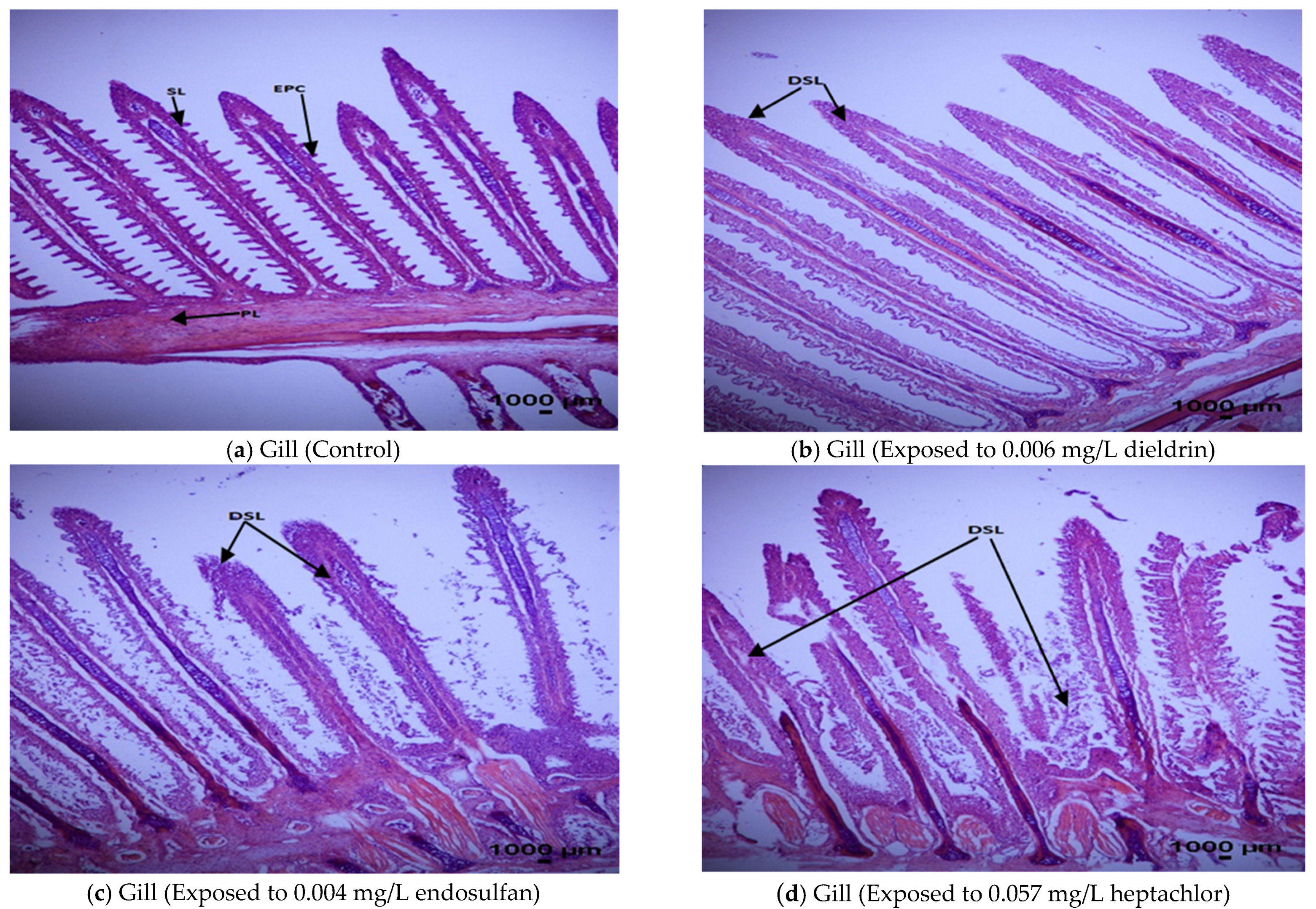Toxics 09 00340 g002