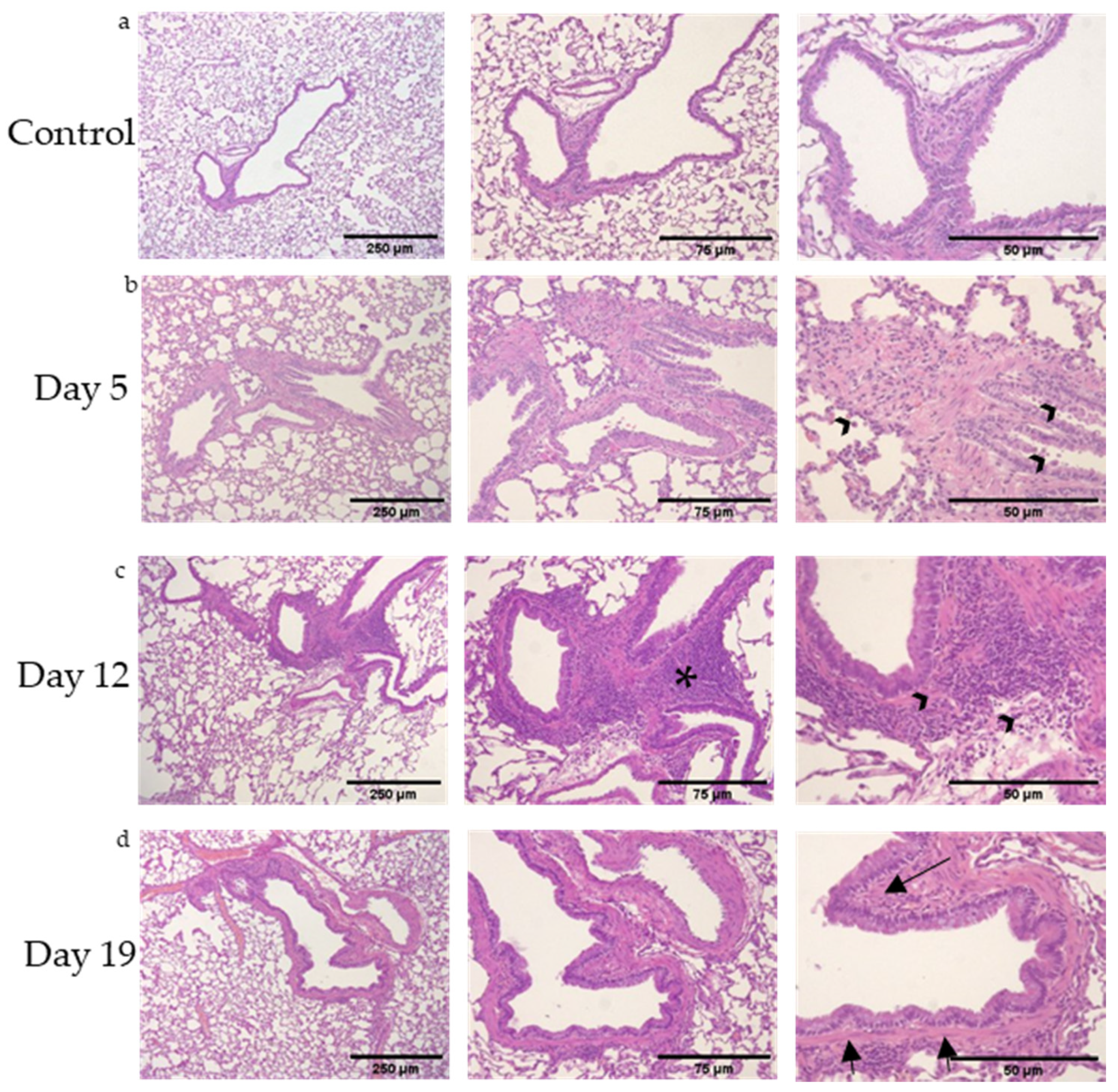 Toxics 09 00359 g001