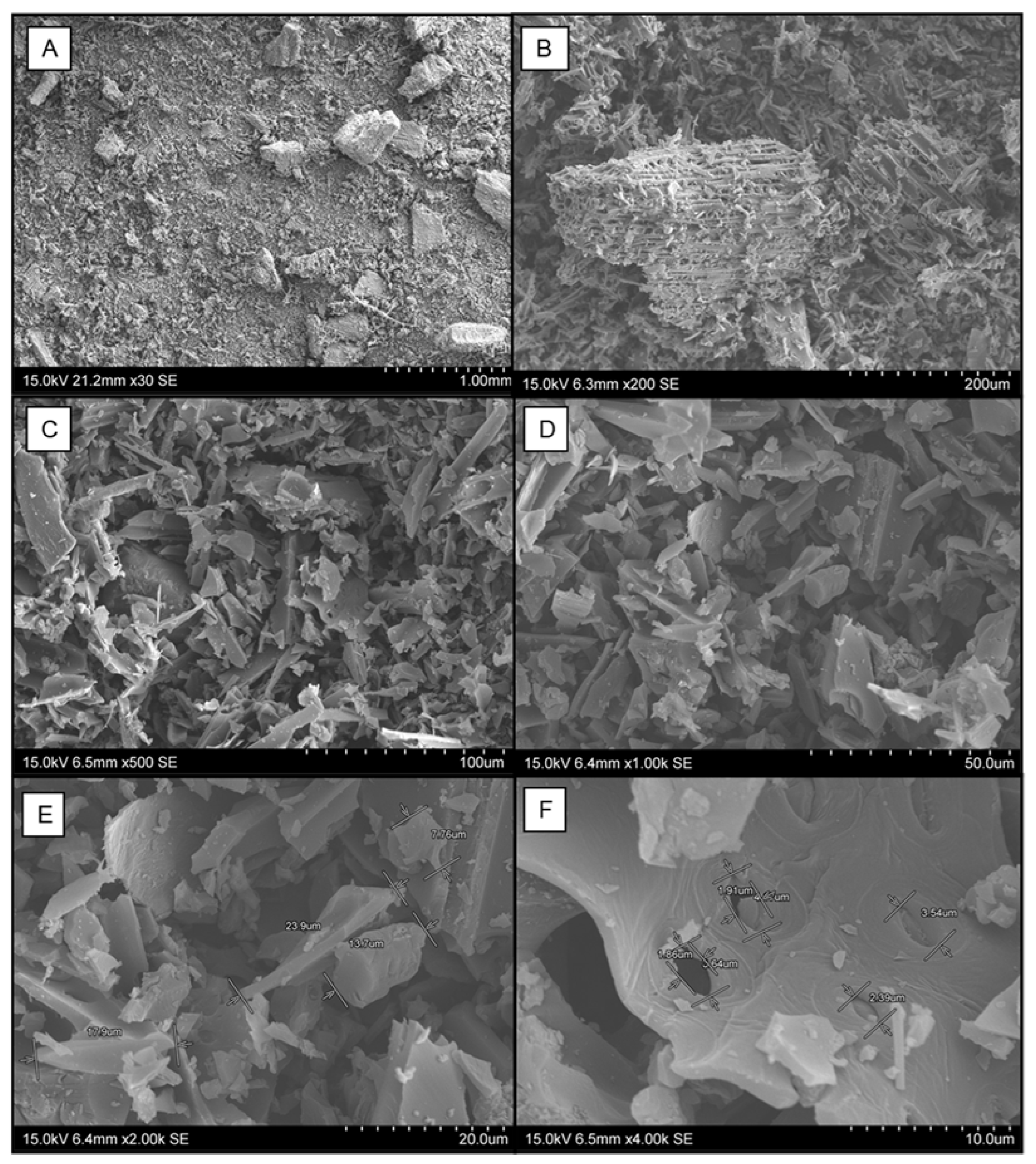 Toxics 10 00015 g001
