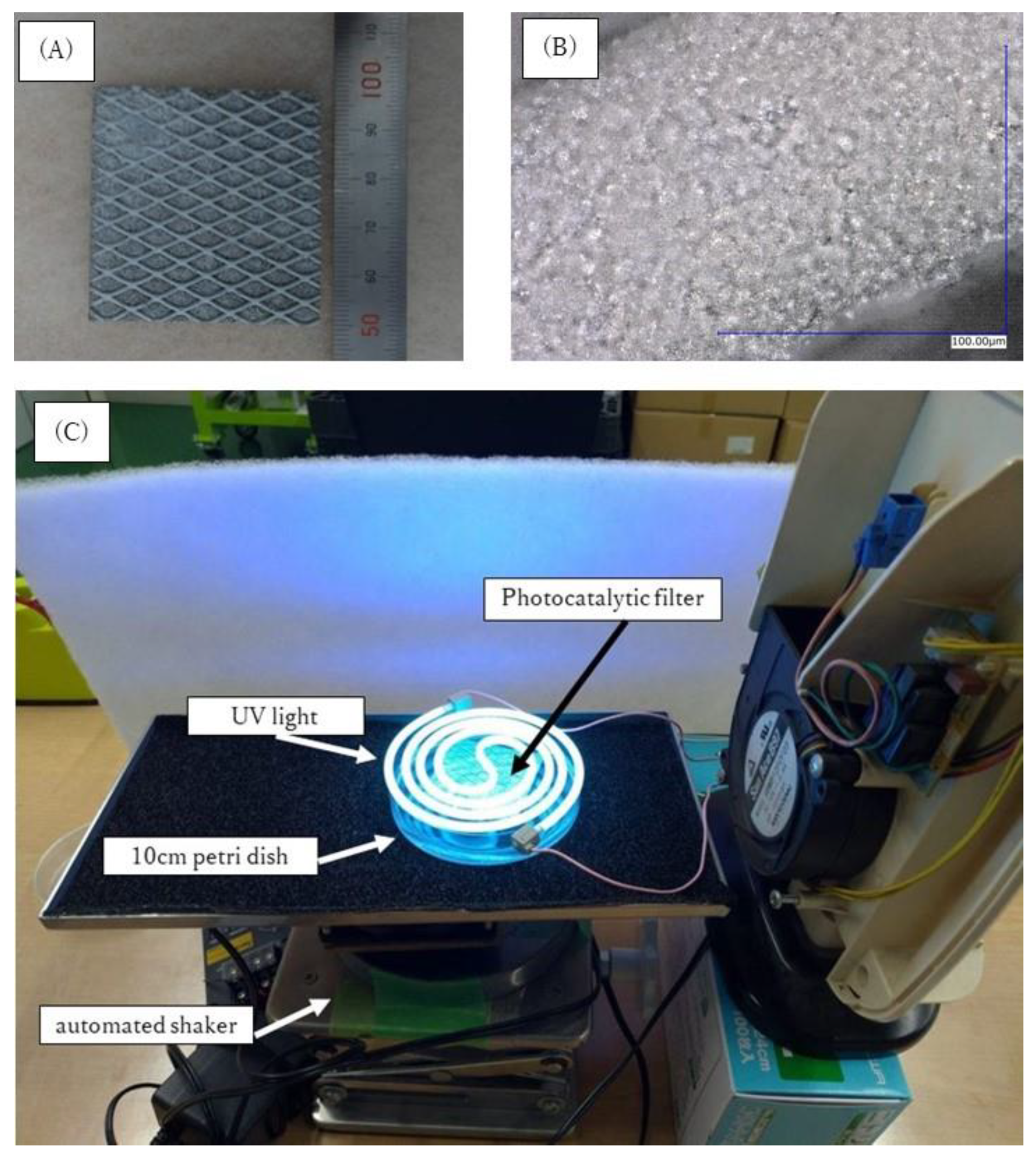 Toxics 10 00040 g002