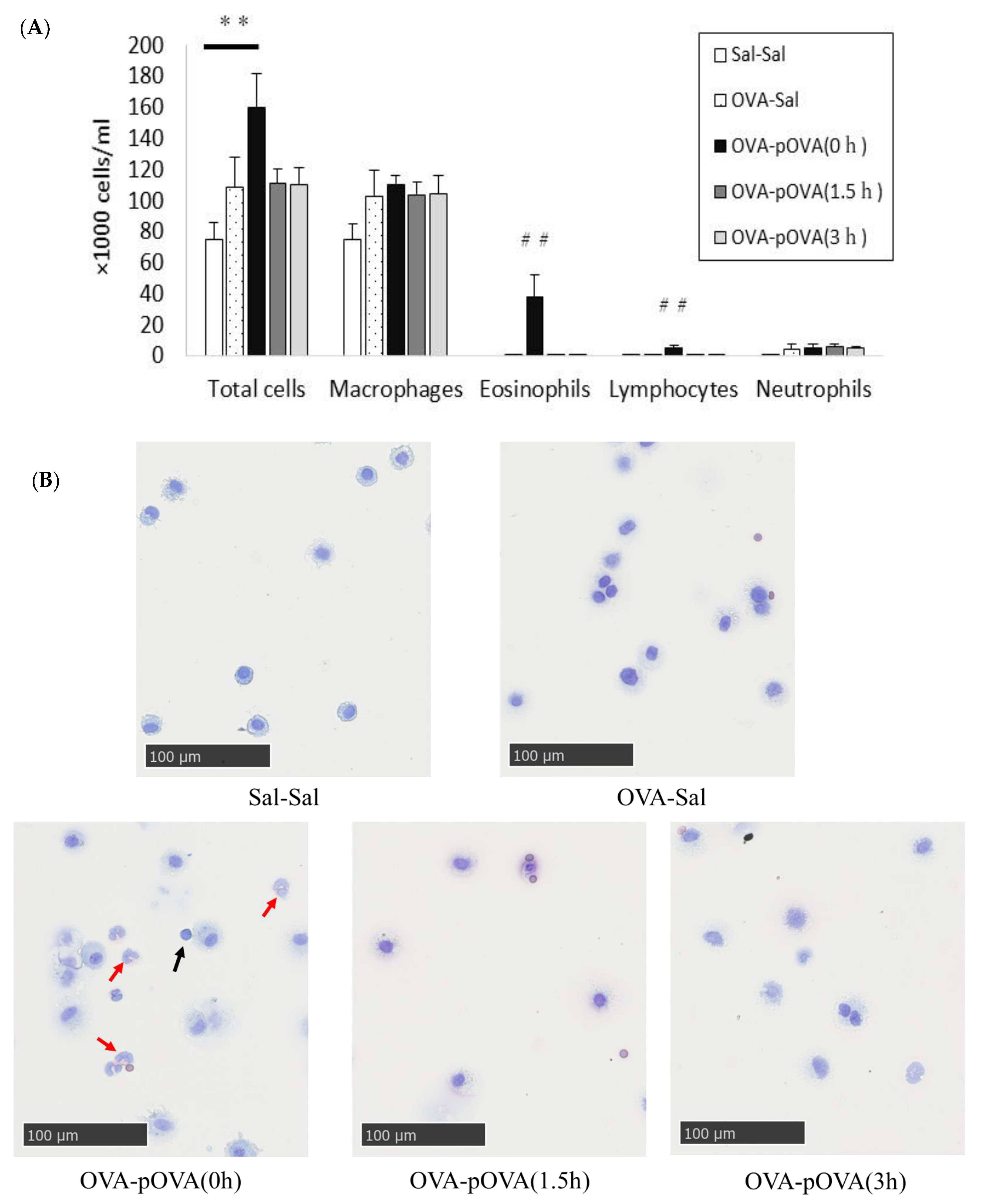 Toxics 10 00040 g005