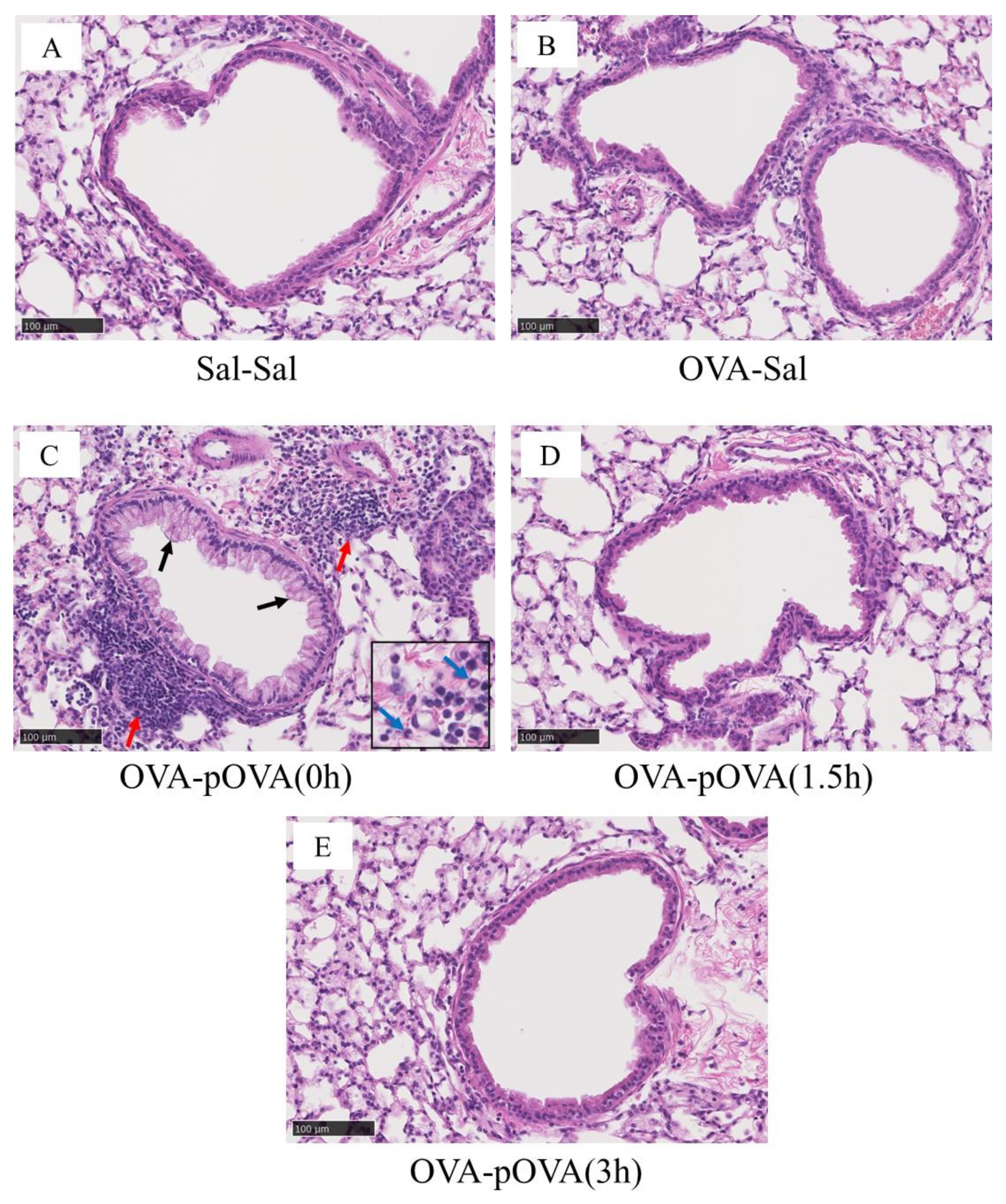 Toxics 10 00040 g006
