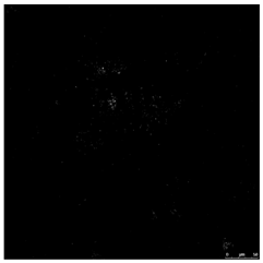 Toxics 10 00042 i005