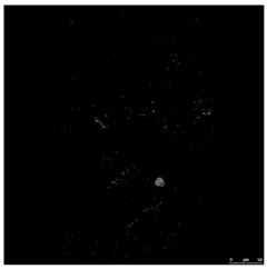 Toxics 10 00042 i006