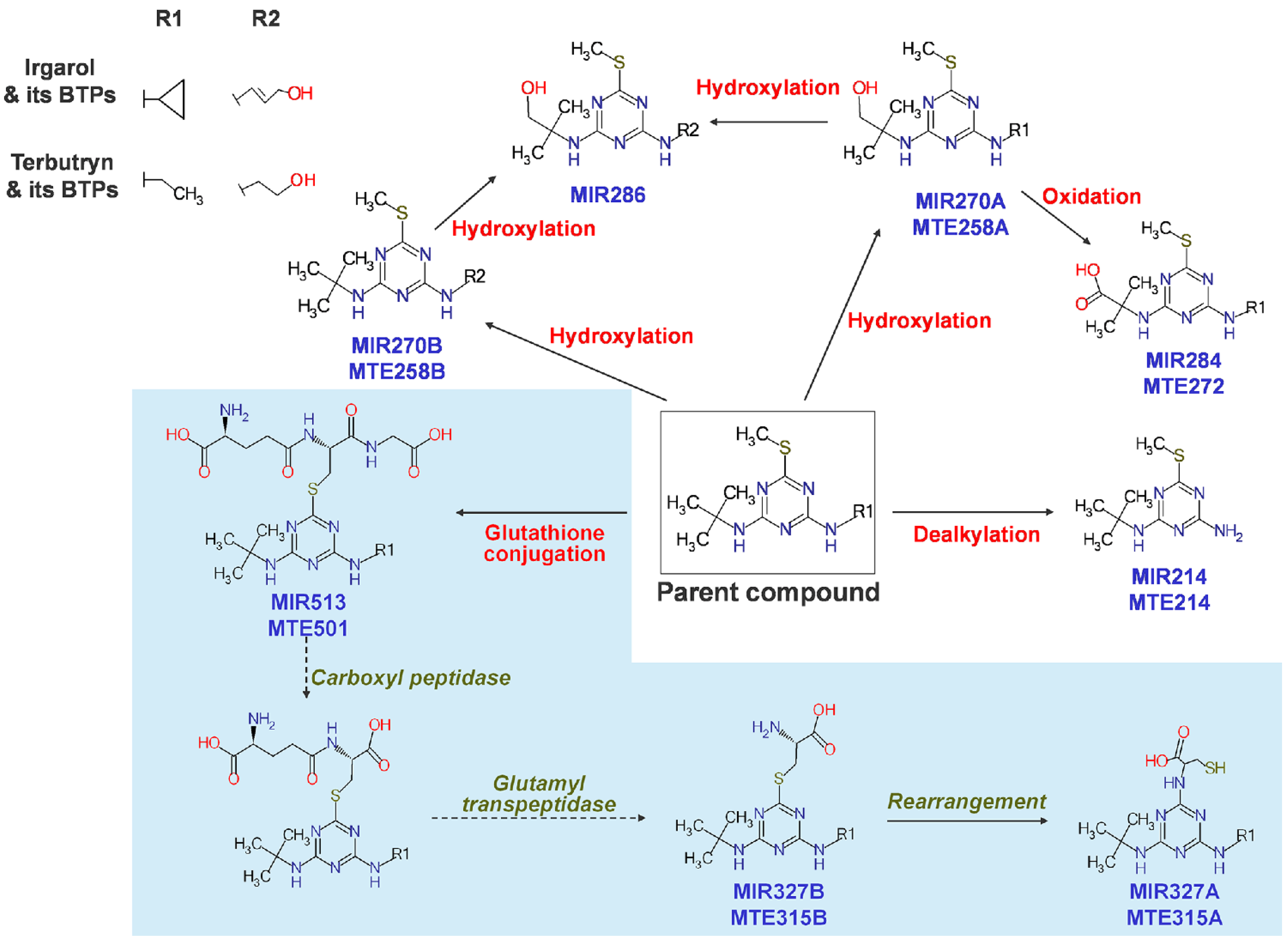 Toxics 10 00054 g004