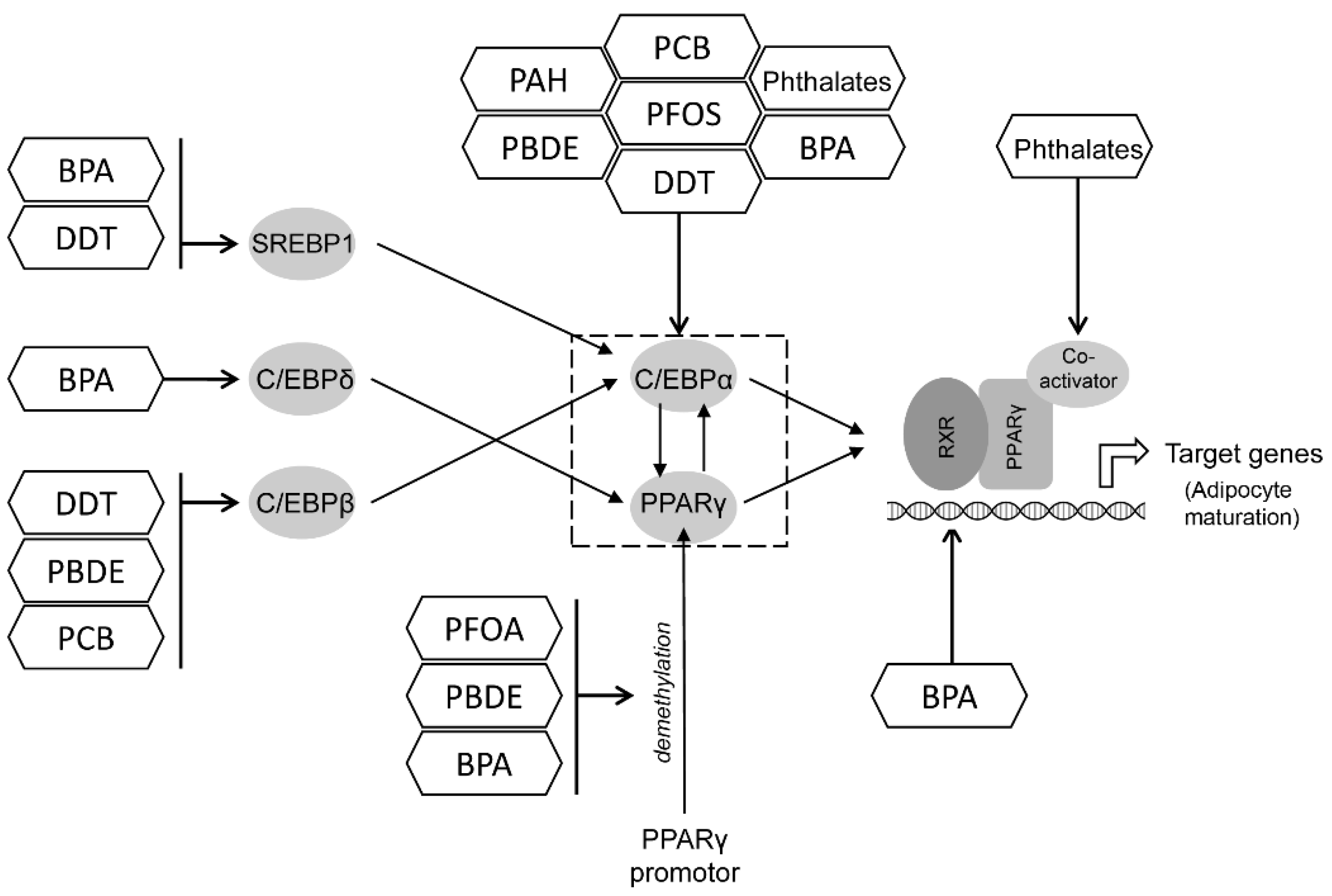 Toxics 10 00065 g002