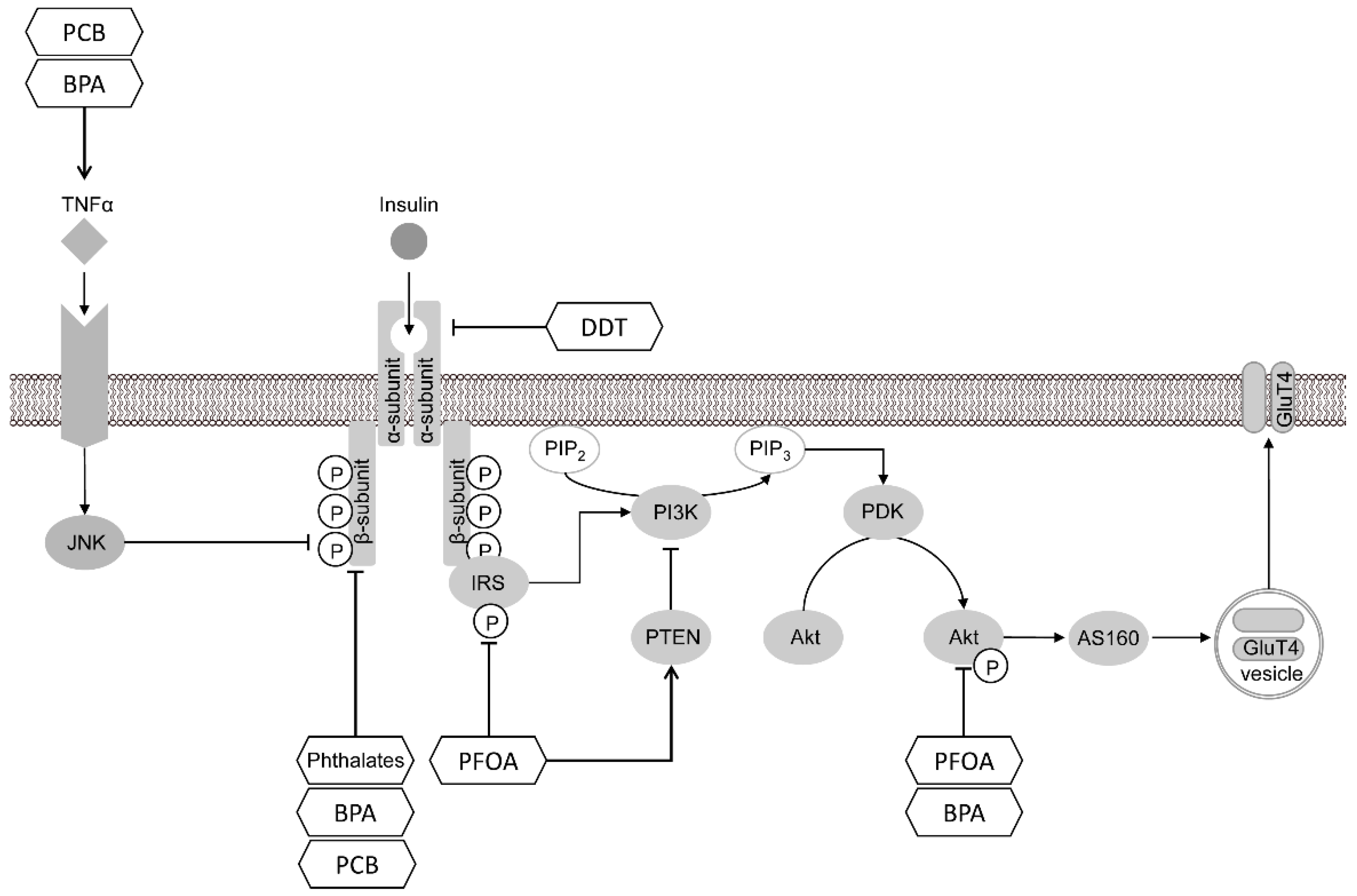 Toxics 10 00065 g005