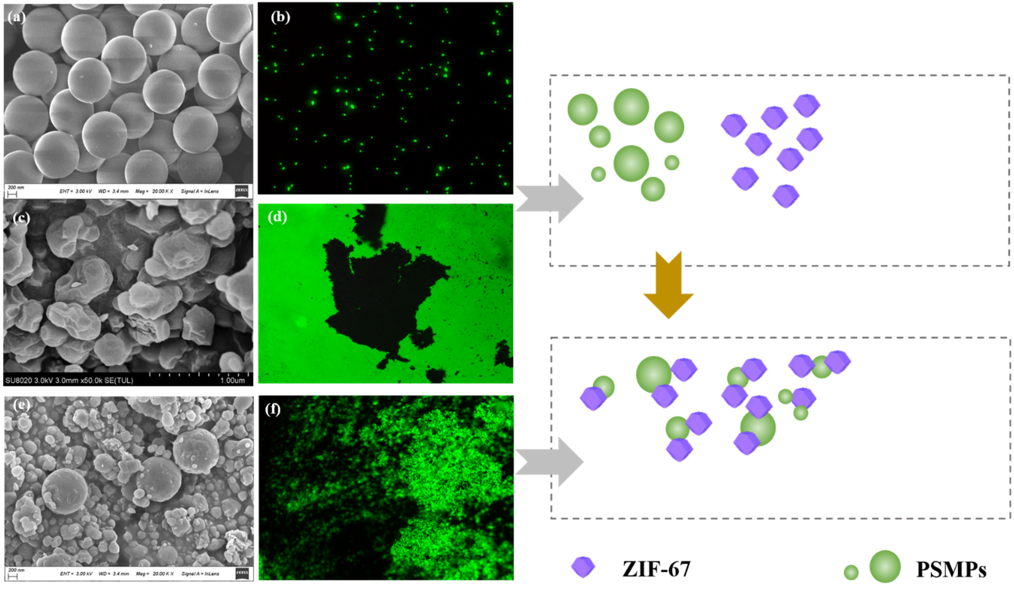 Toxics 10 00070 g001
